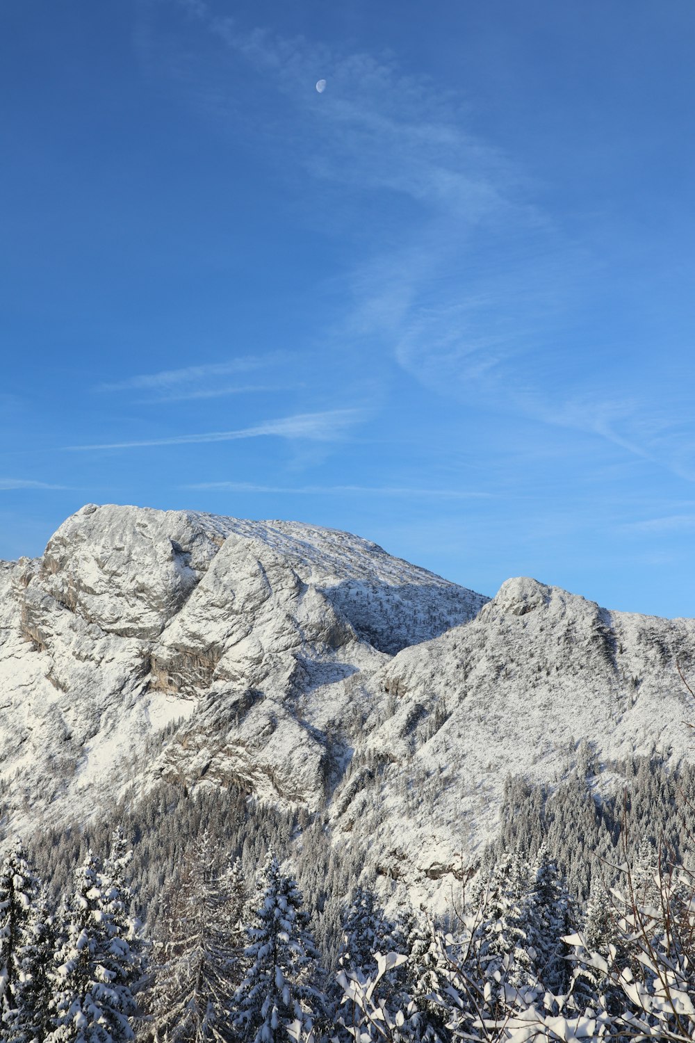 uma montanha coberta de neve com árvores em primeiro plano