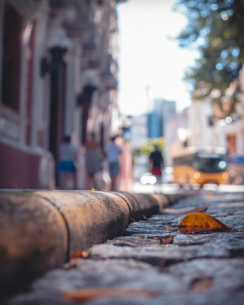 a yellow leaf is laying on the sidewalk