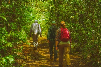 a couple of people that are walking in the woods