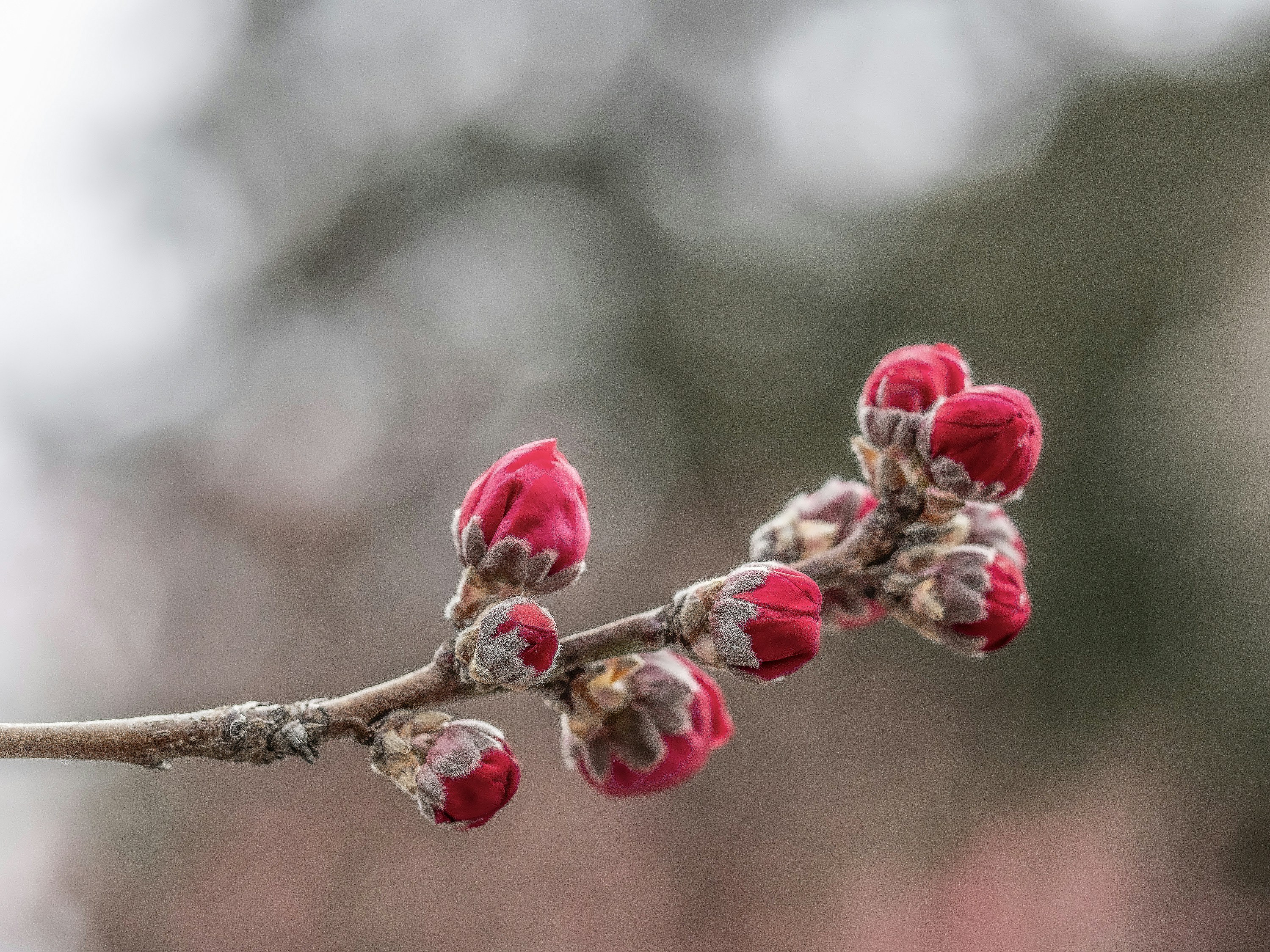 Photo by lyricalcode