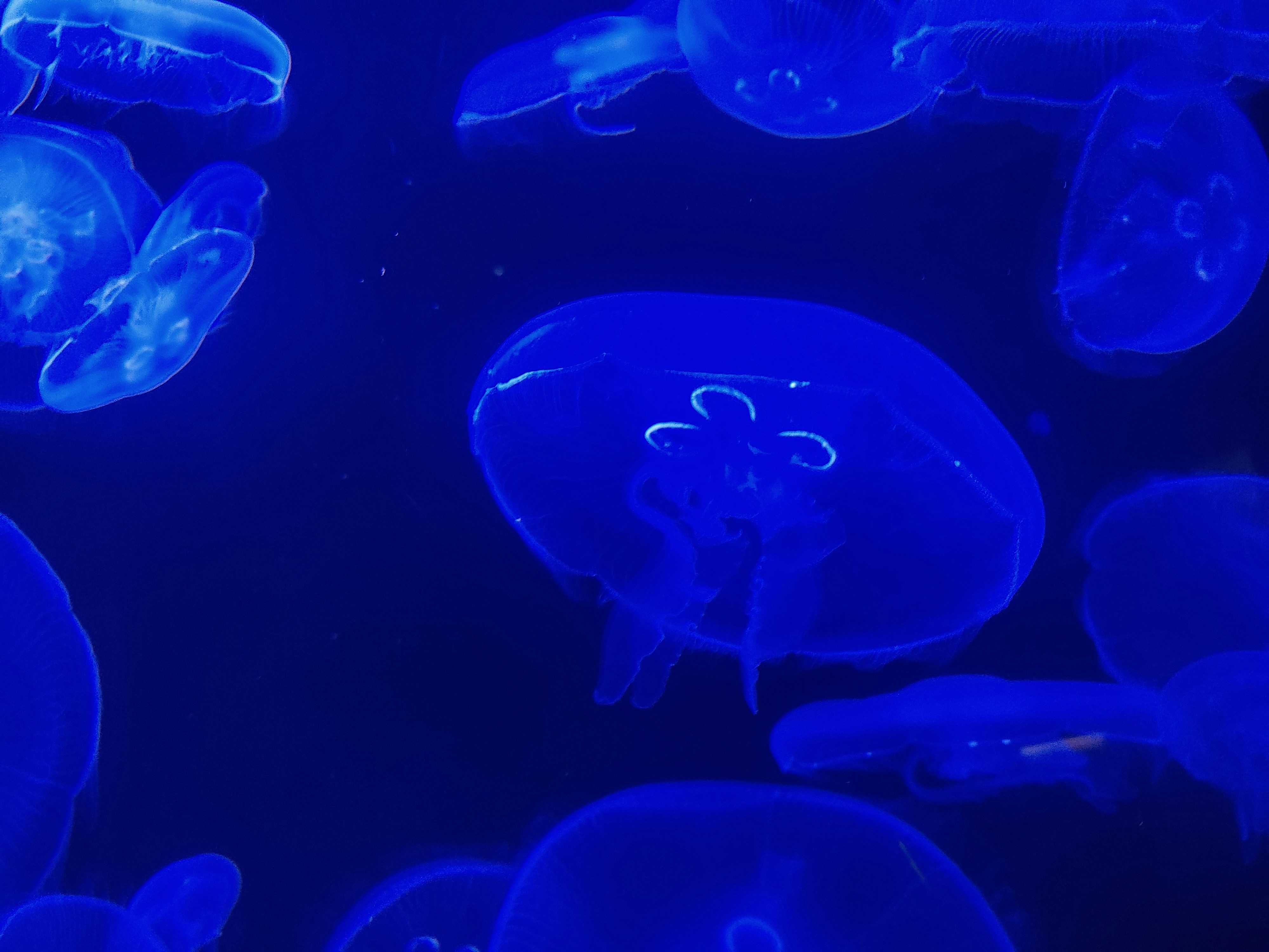 Photo by lorena_photoart