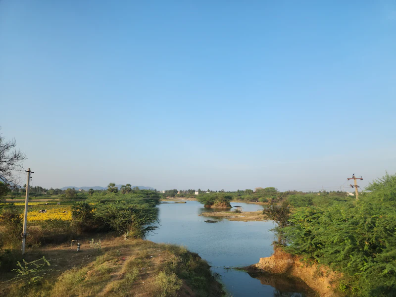 இந்தியா–அமெரிக்க வர்த்தக ஒப்பந்தம்: விவசாயம், பால்வளம், தரவு — ‘சிவப்புக் கோடுகள்’ ஏன் முக்கியம்?