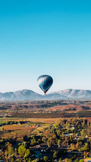 a hot air balloon flying over a lush green field
