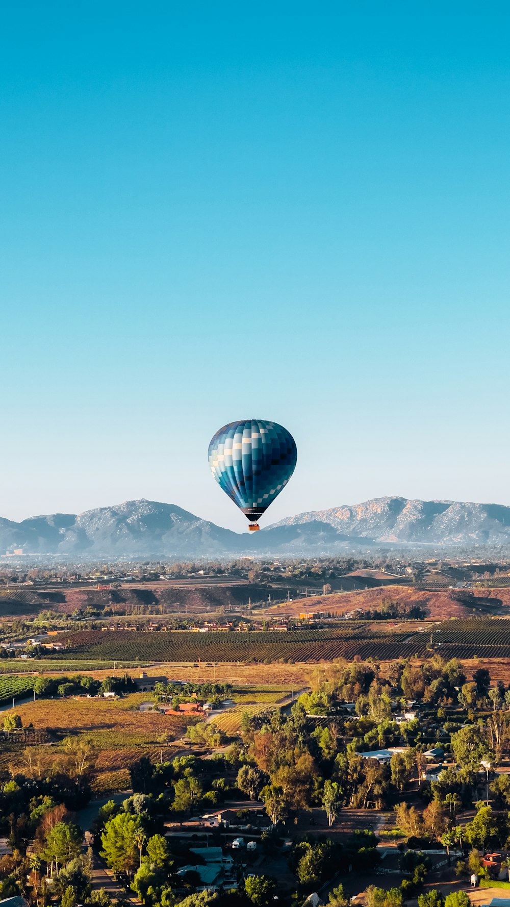 a hot air balloon flying over a lush green field