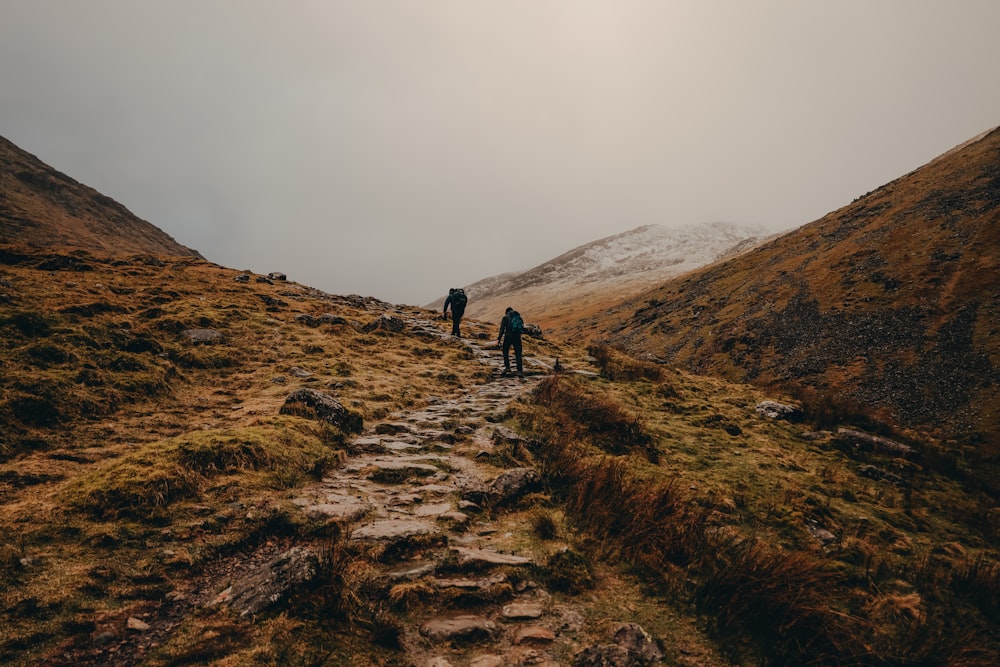 a couple of people that are walking up a hill