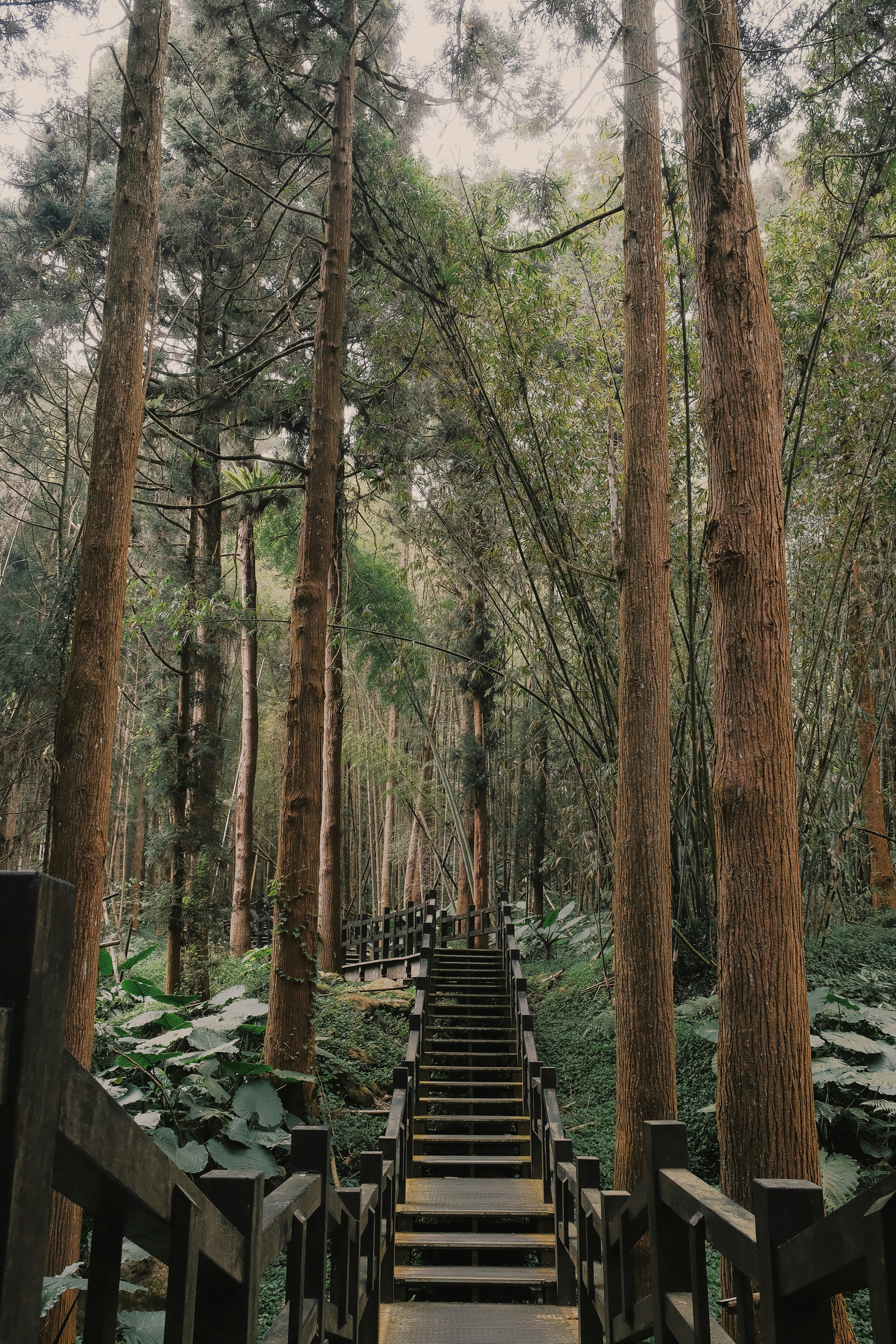 Photo by chanwei_snap