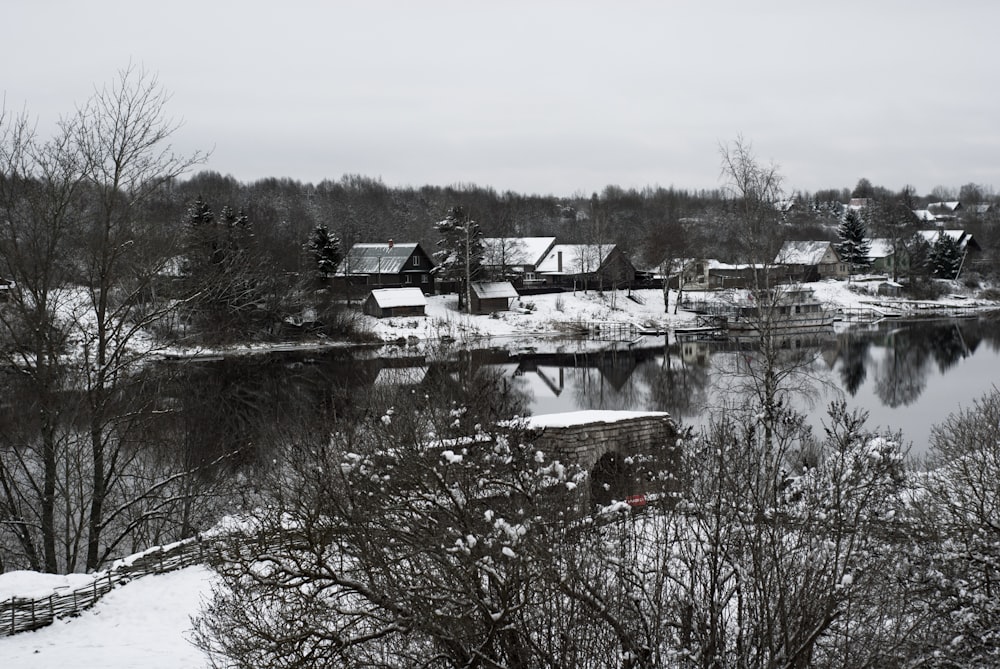 a river surrounded by trees covered in snow