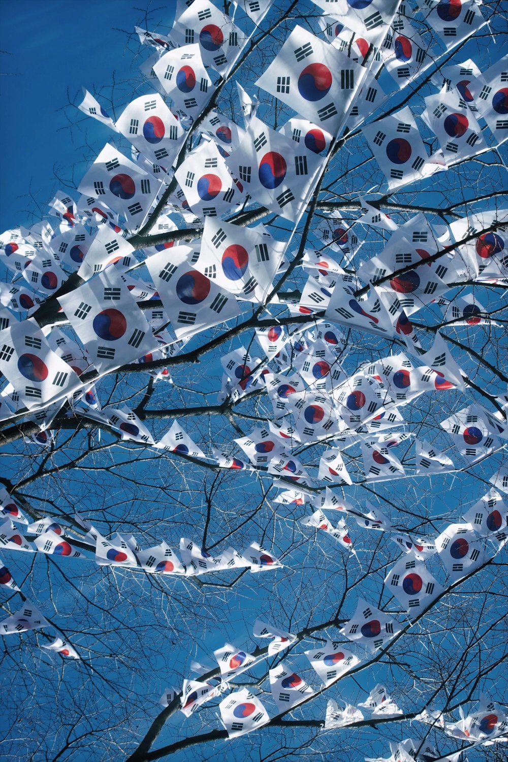 a bunch of flags hanging from a tree