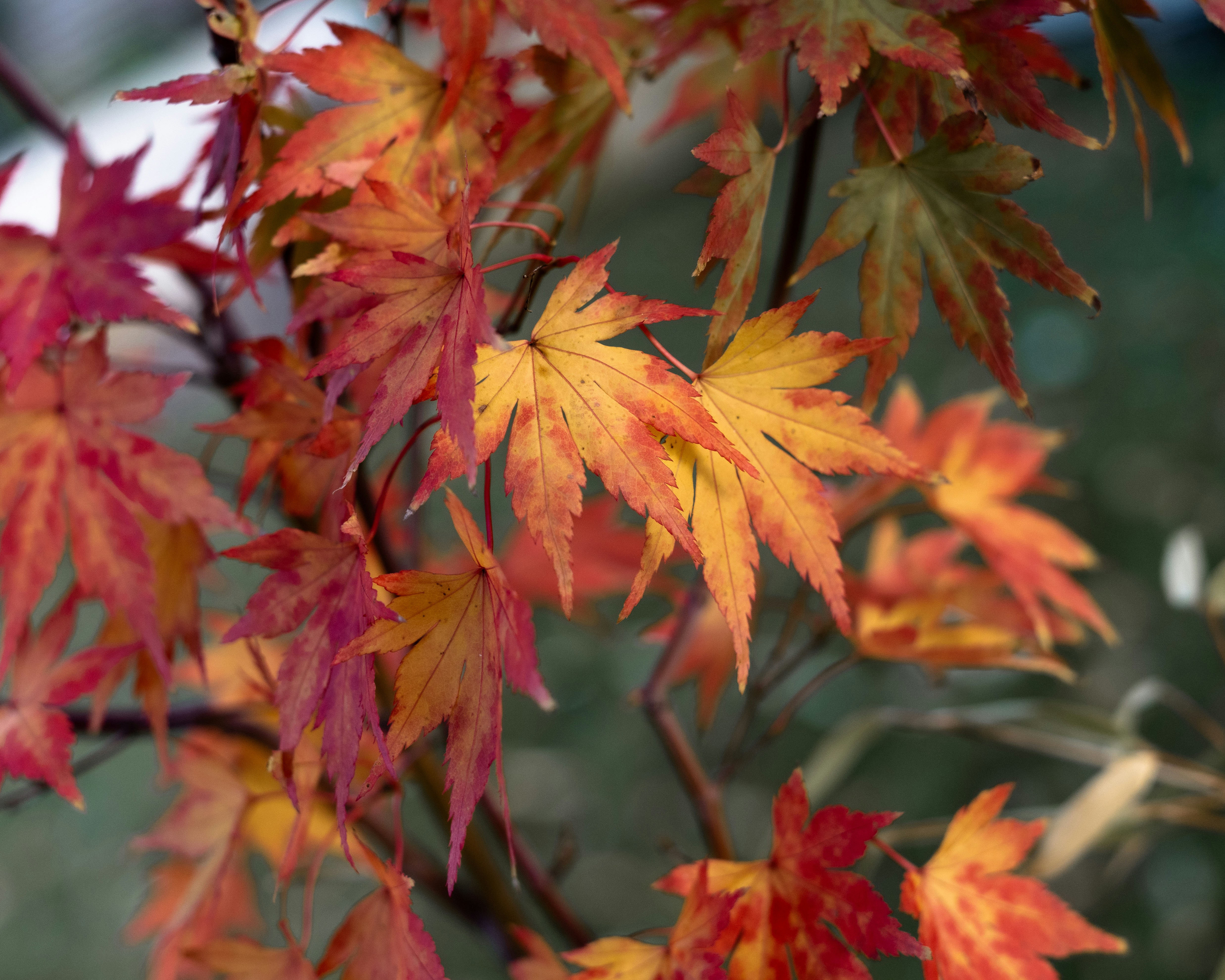 Photo by clairethatcher