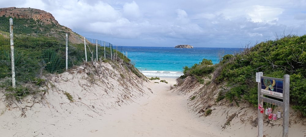a sandy path leading to a beach with a blue ocean in the background