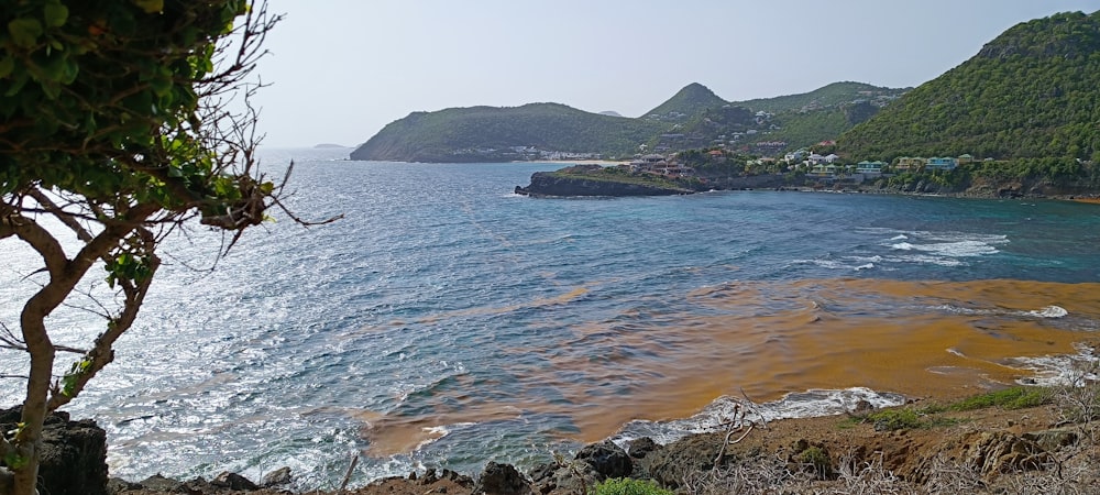 a body of water surrounded by a lush green hillside