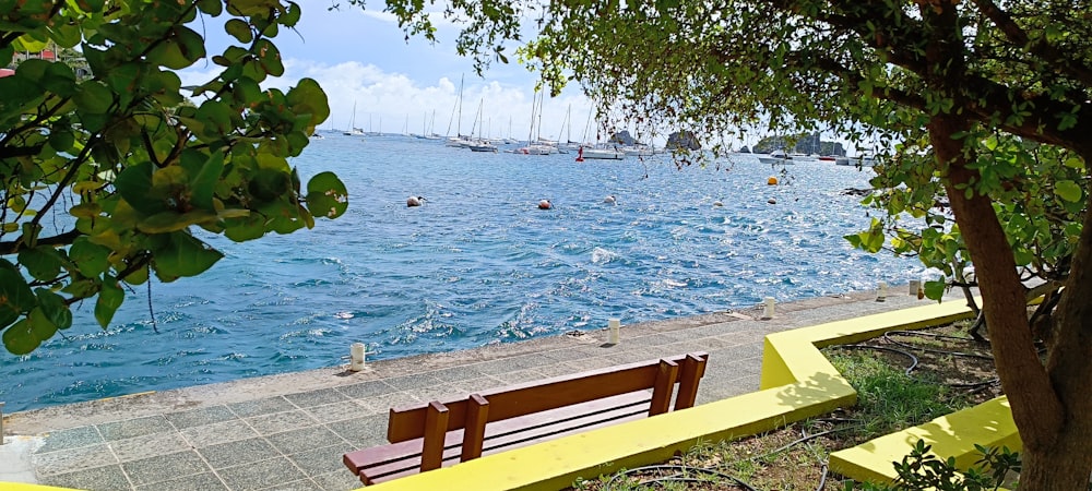 a wooden bench sitting next to a tree near a body of water