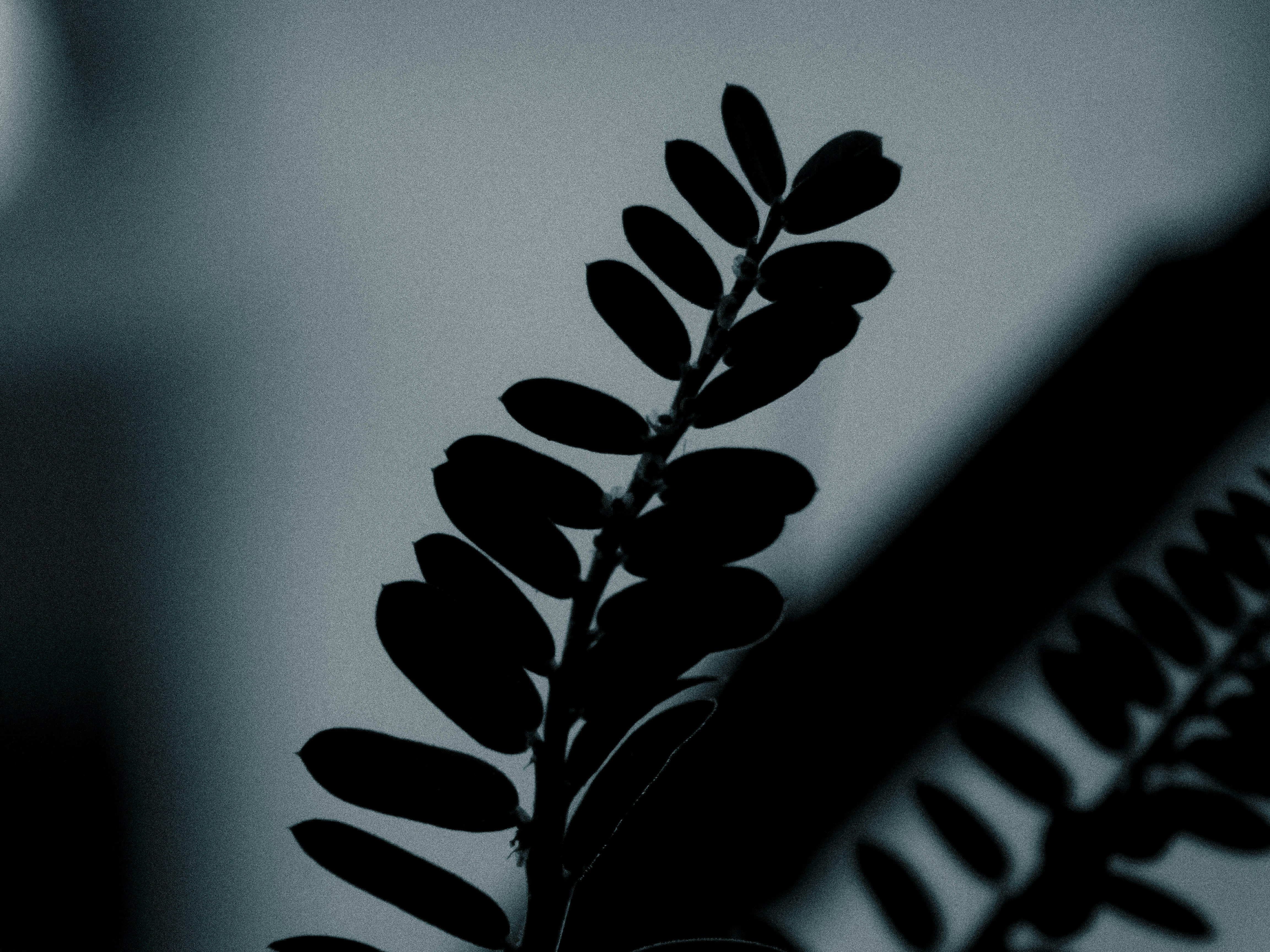 Photo by true_reflection_s