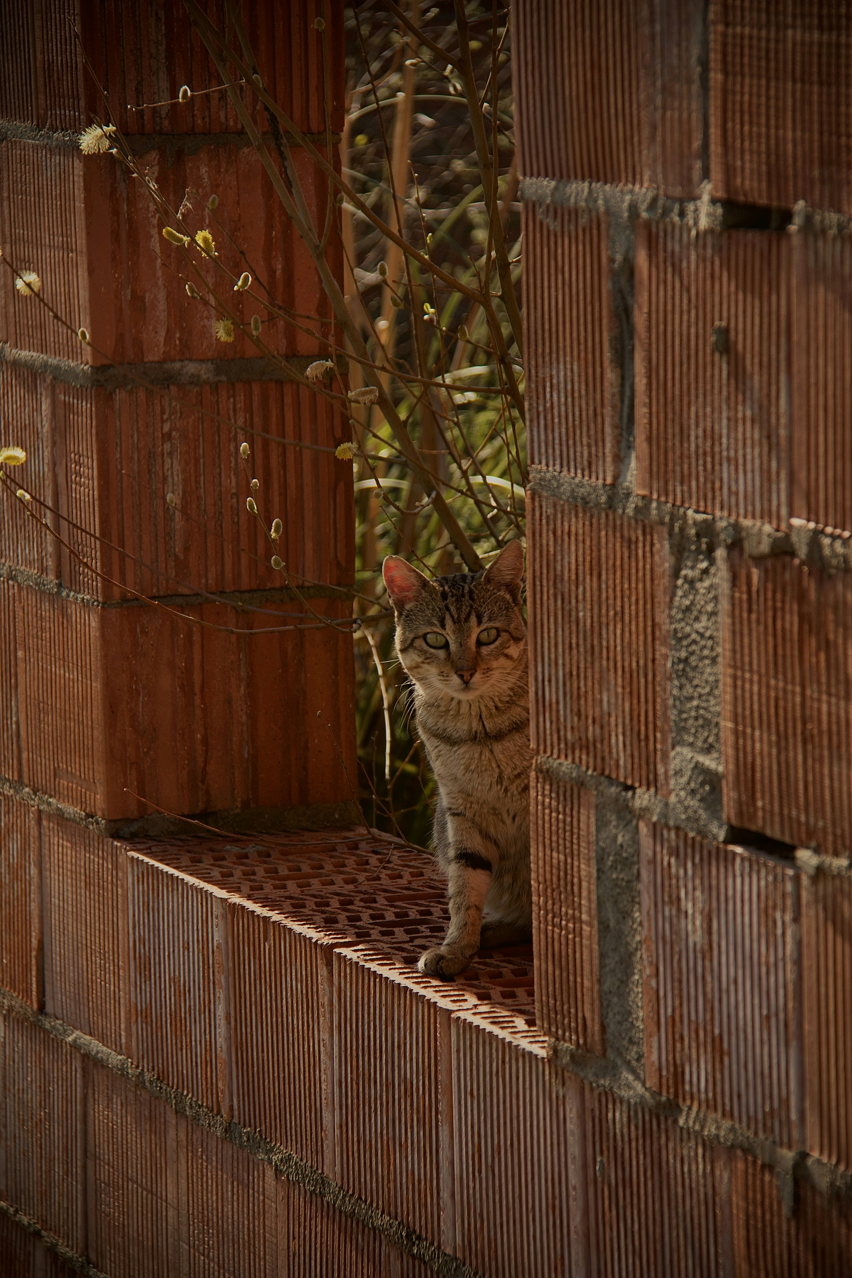 Photo by pablo_saancheezz