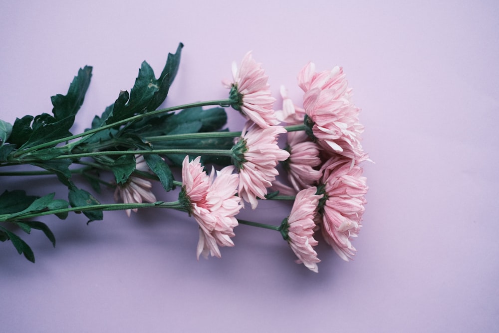 a bunch of pink flowers sitting on top of a table