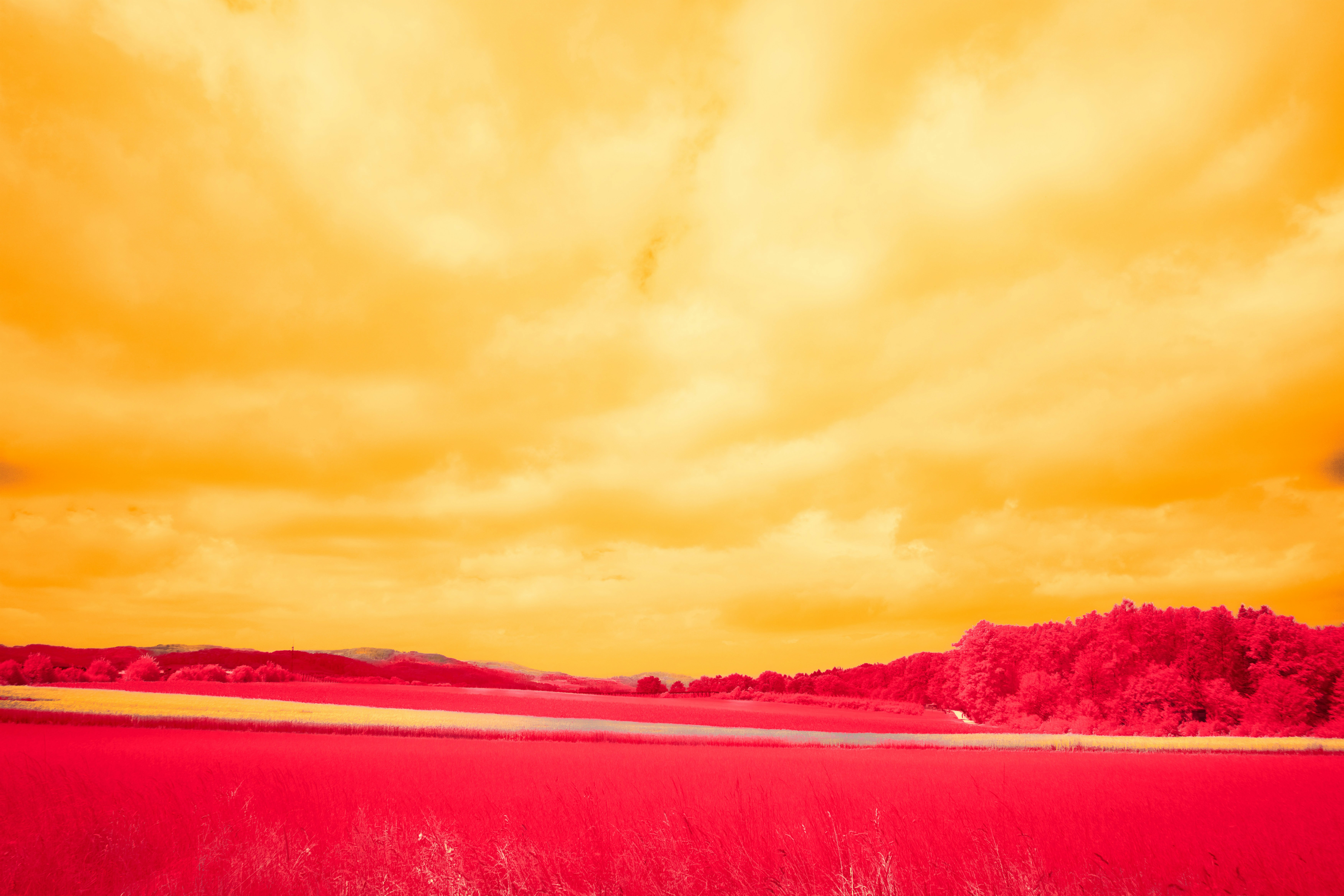 Photo by wolfgang_hasselmann