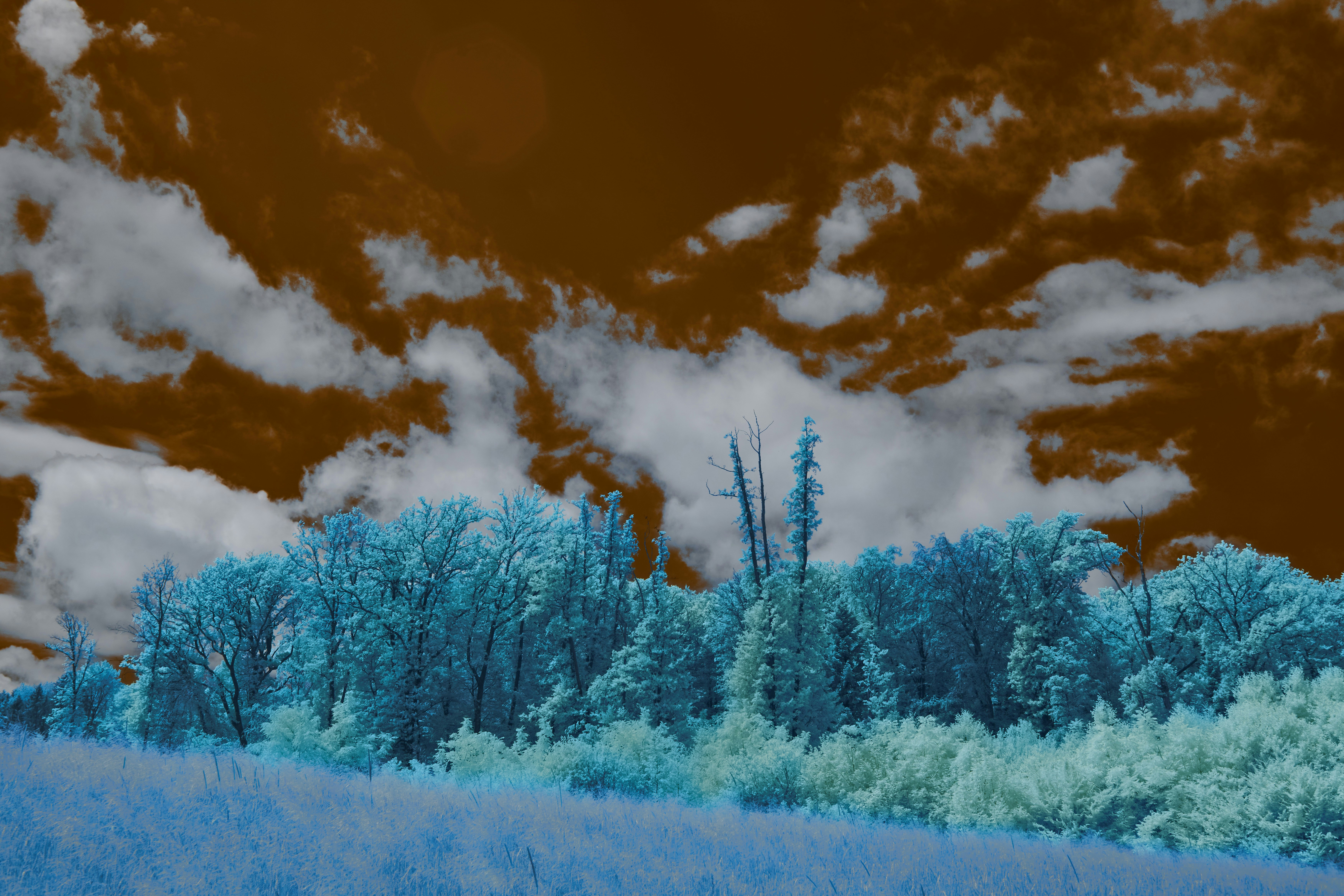 Photo by wolfgang_hasselmann