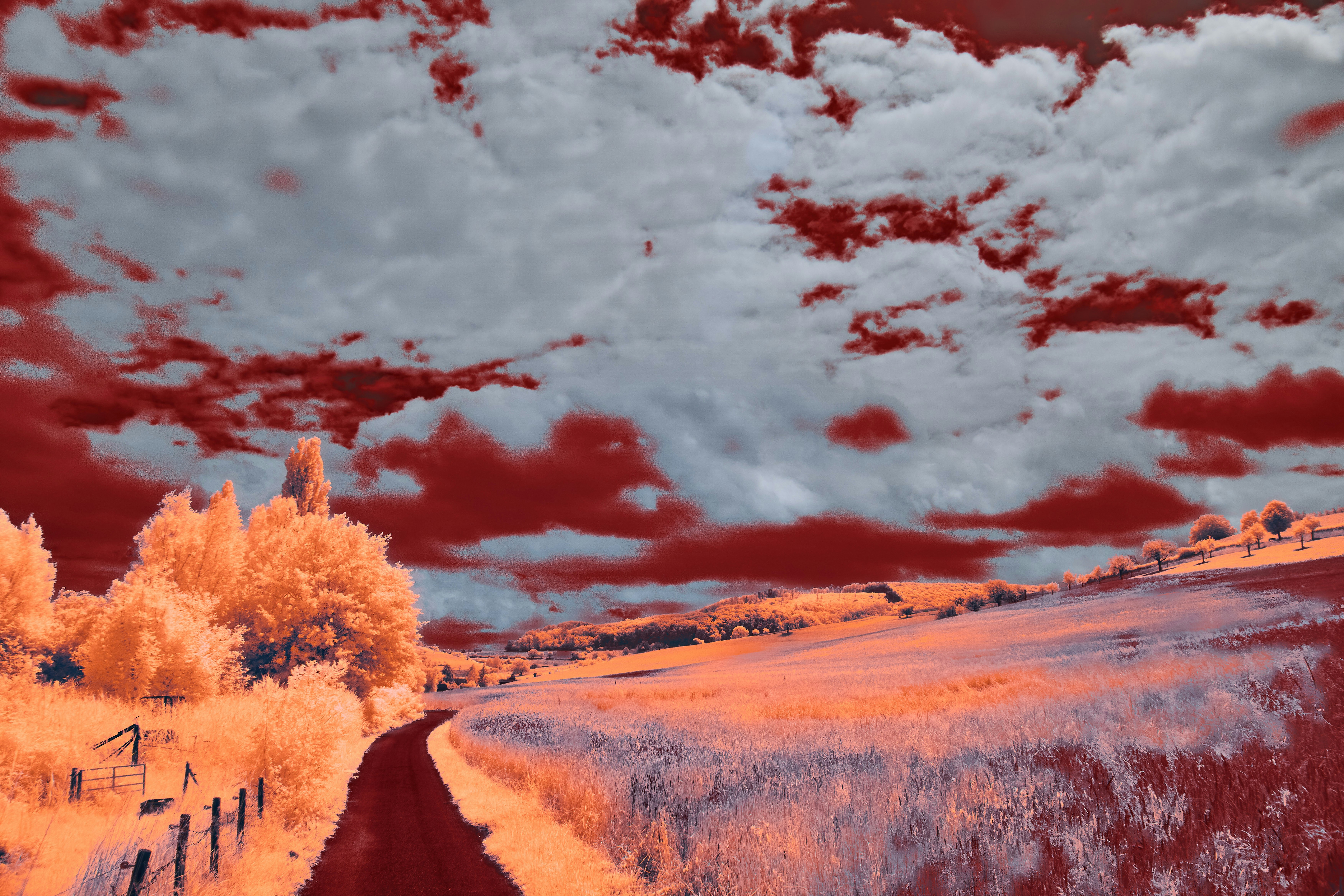 Photo by wolfgang_hasselmann