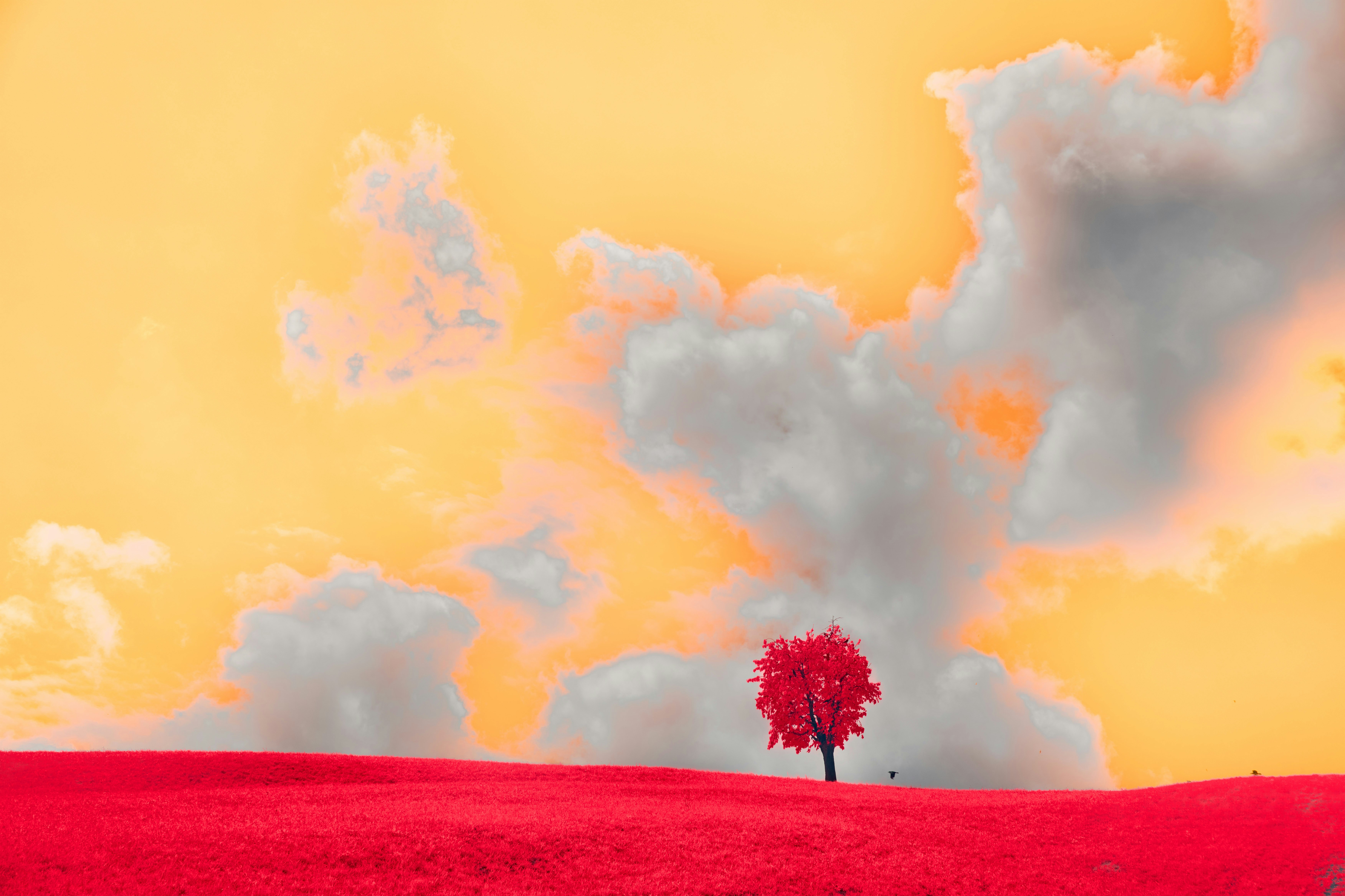 Photo by wolfgang_hasselmann