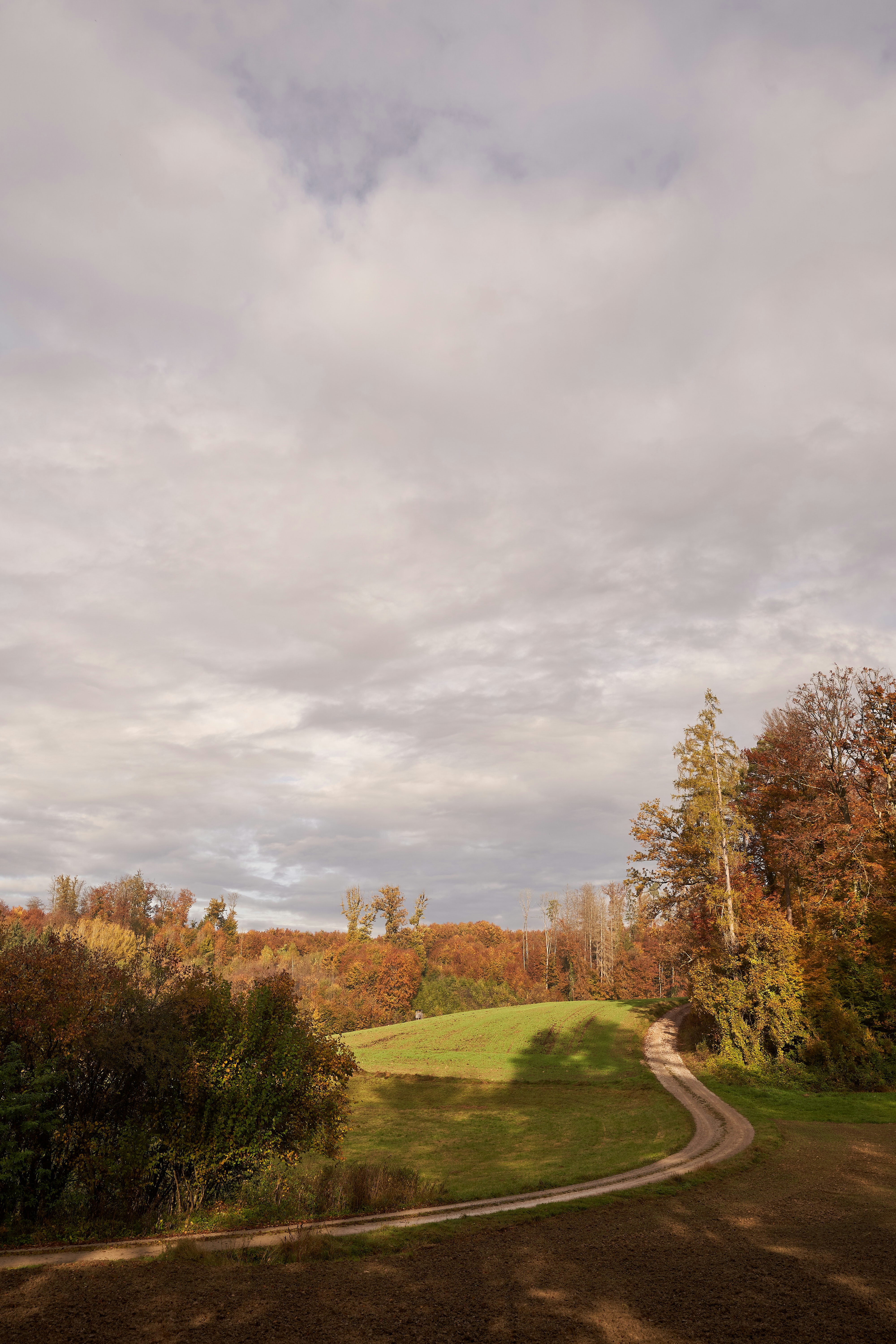 Photo by wolfgang_hasselmann