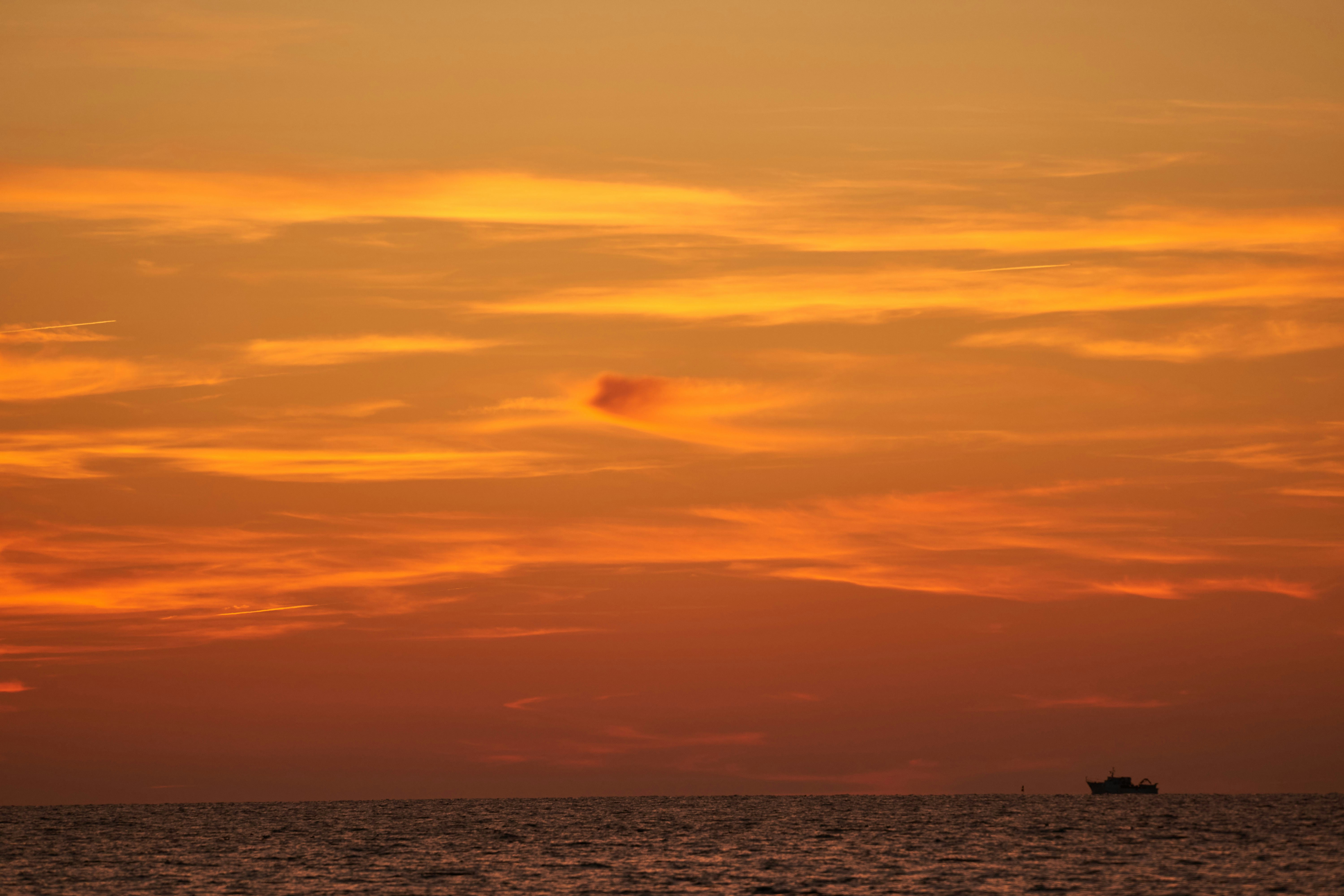 Photo by wolfgang_hasselmann