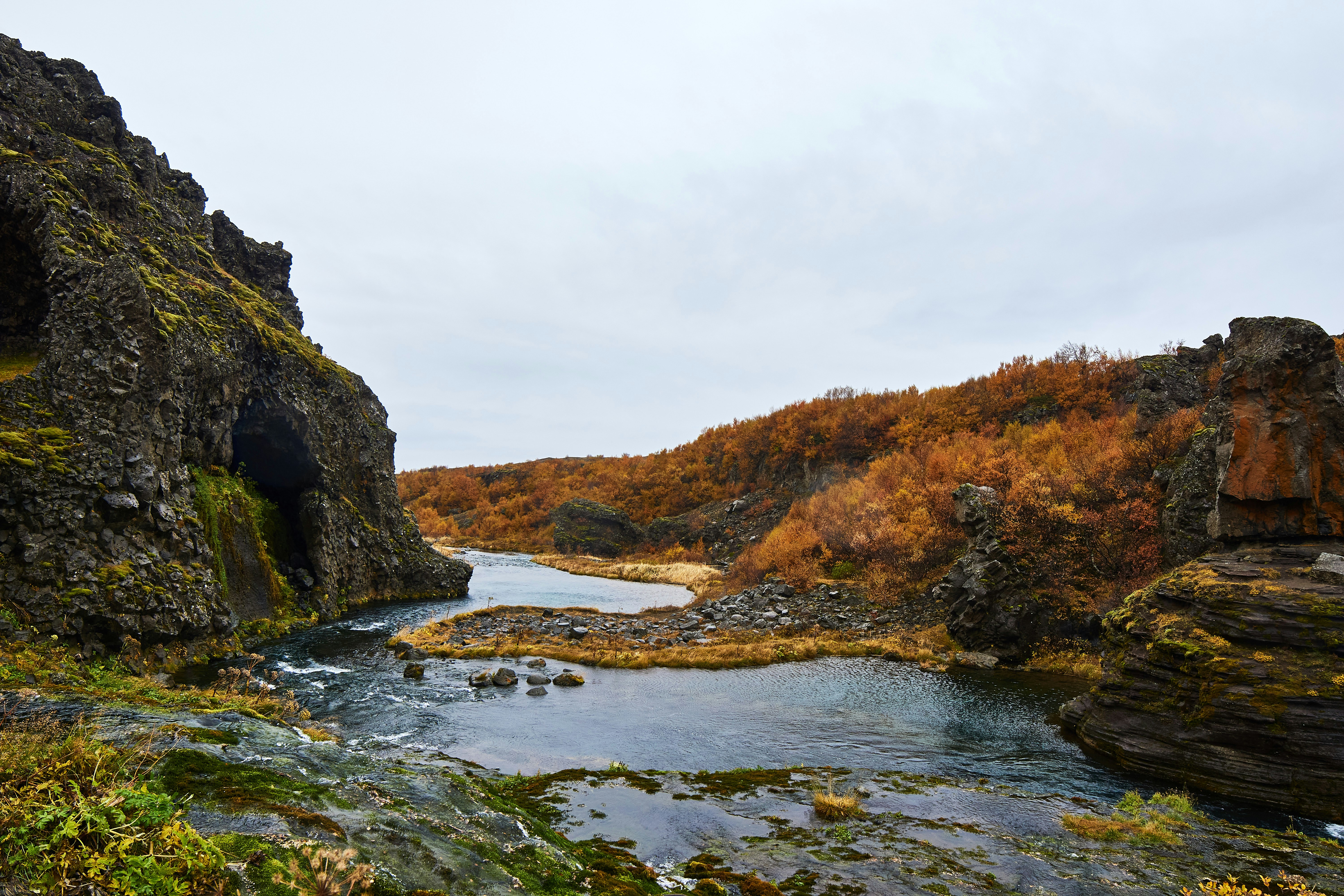 Photo by wolfgang_hasselmann