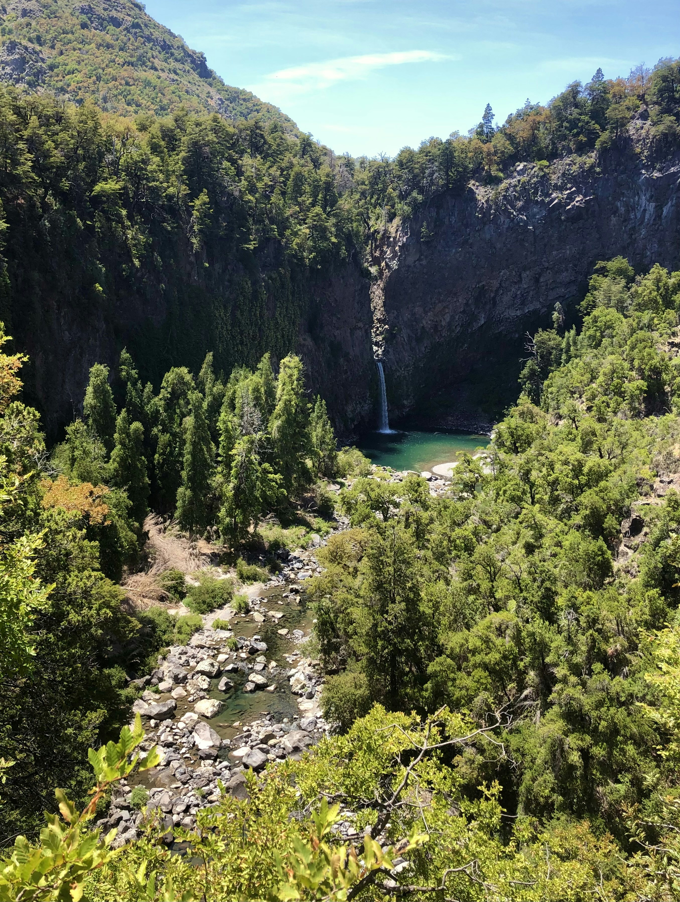 Photo by floristeady