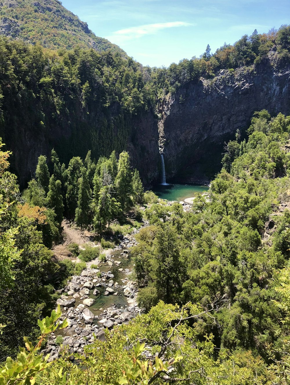 a river running through a lush green forest