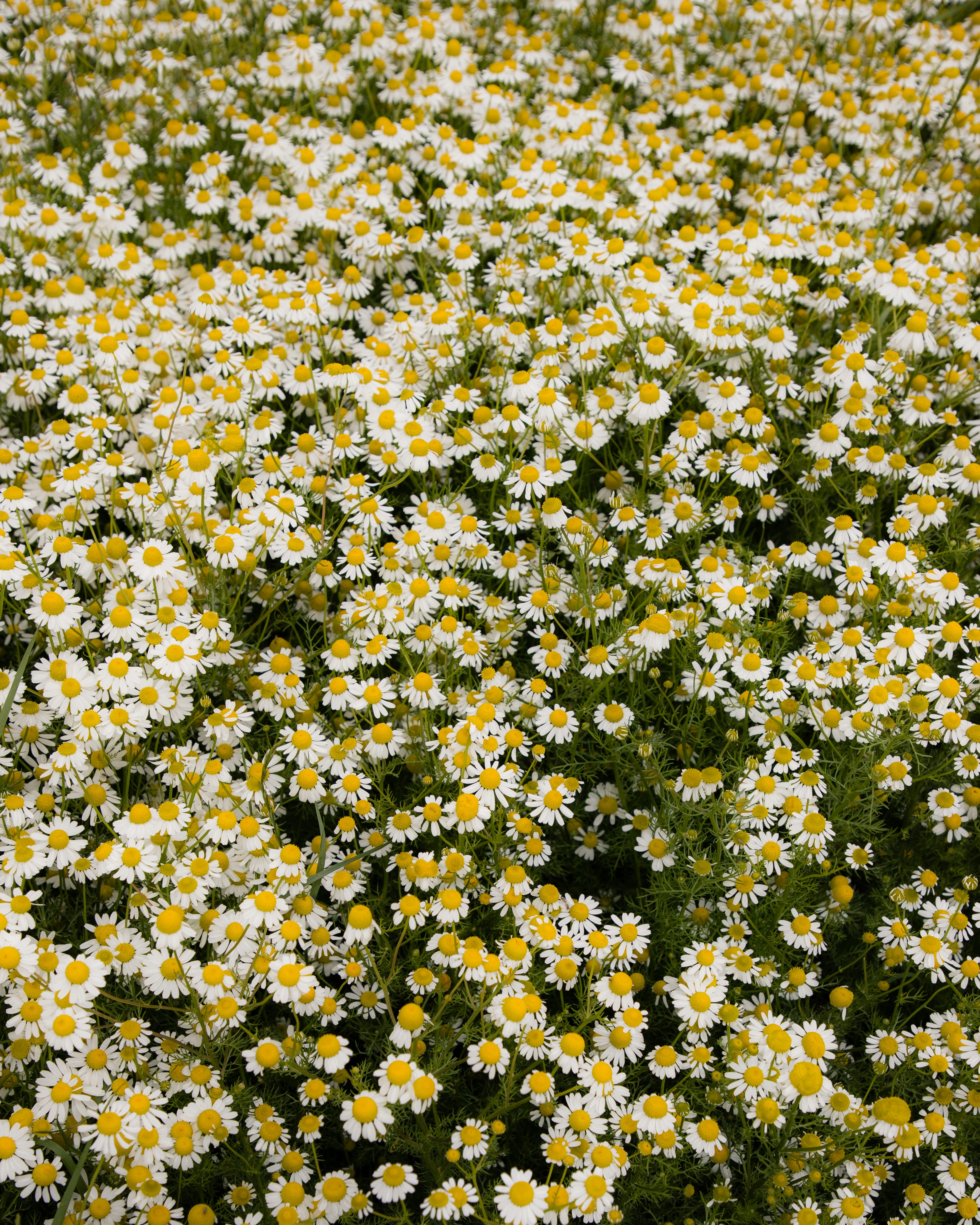 Photo by jovanvasiljevic