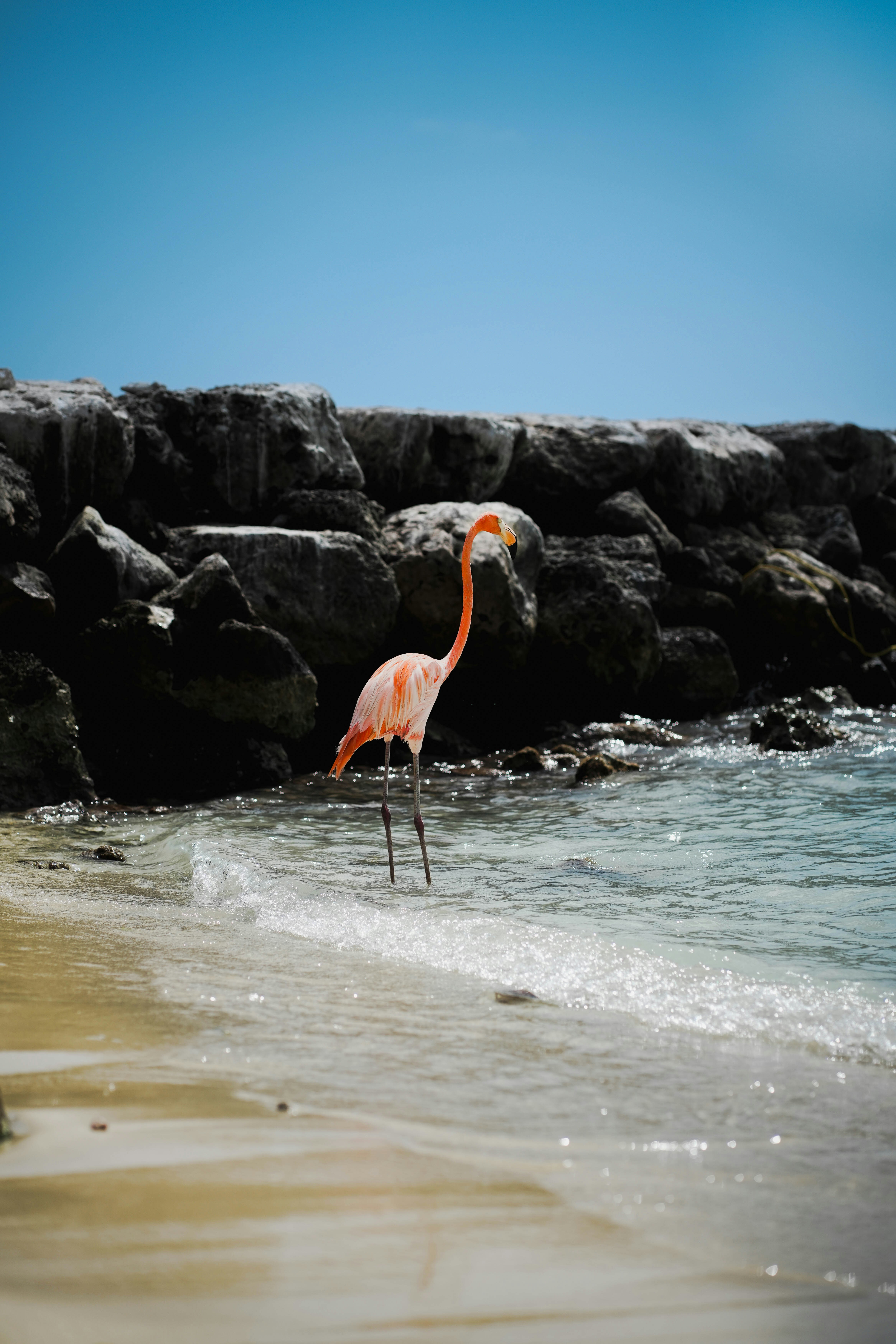 Photo by liamsphotos