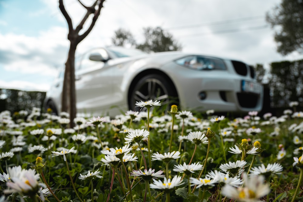 a white car is parked in a field of daisies