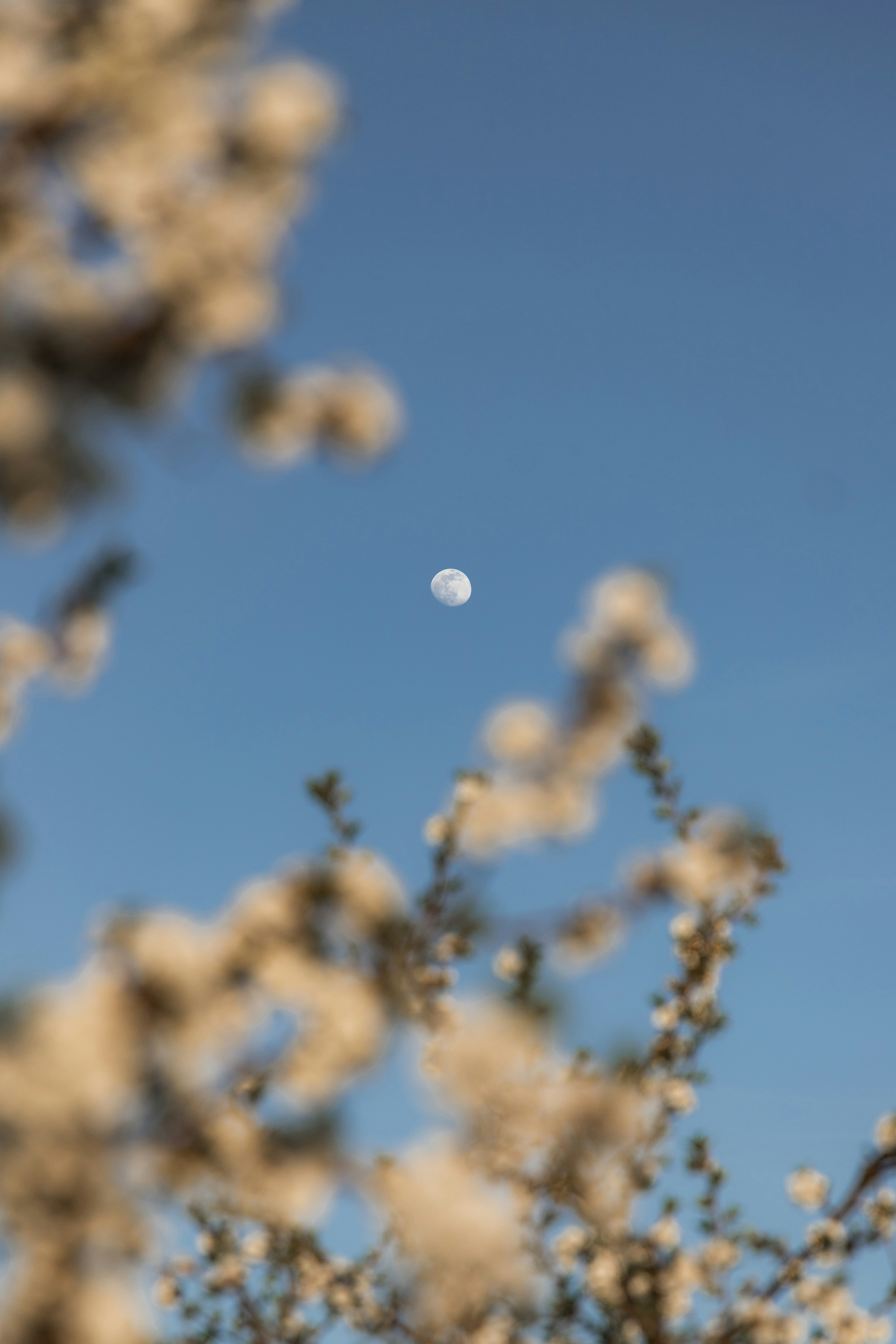 Photo by jovanvasiljevic