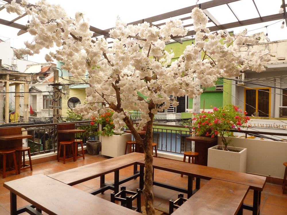 a wooden table sitting under a tree with white flowers