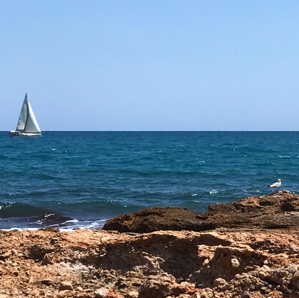 Un velero a lo lejos en el océano