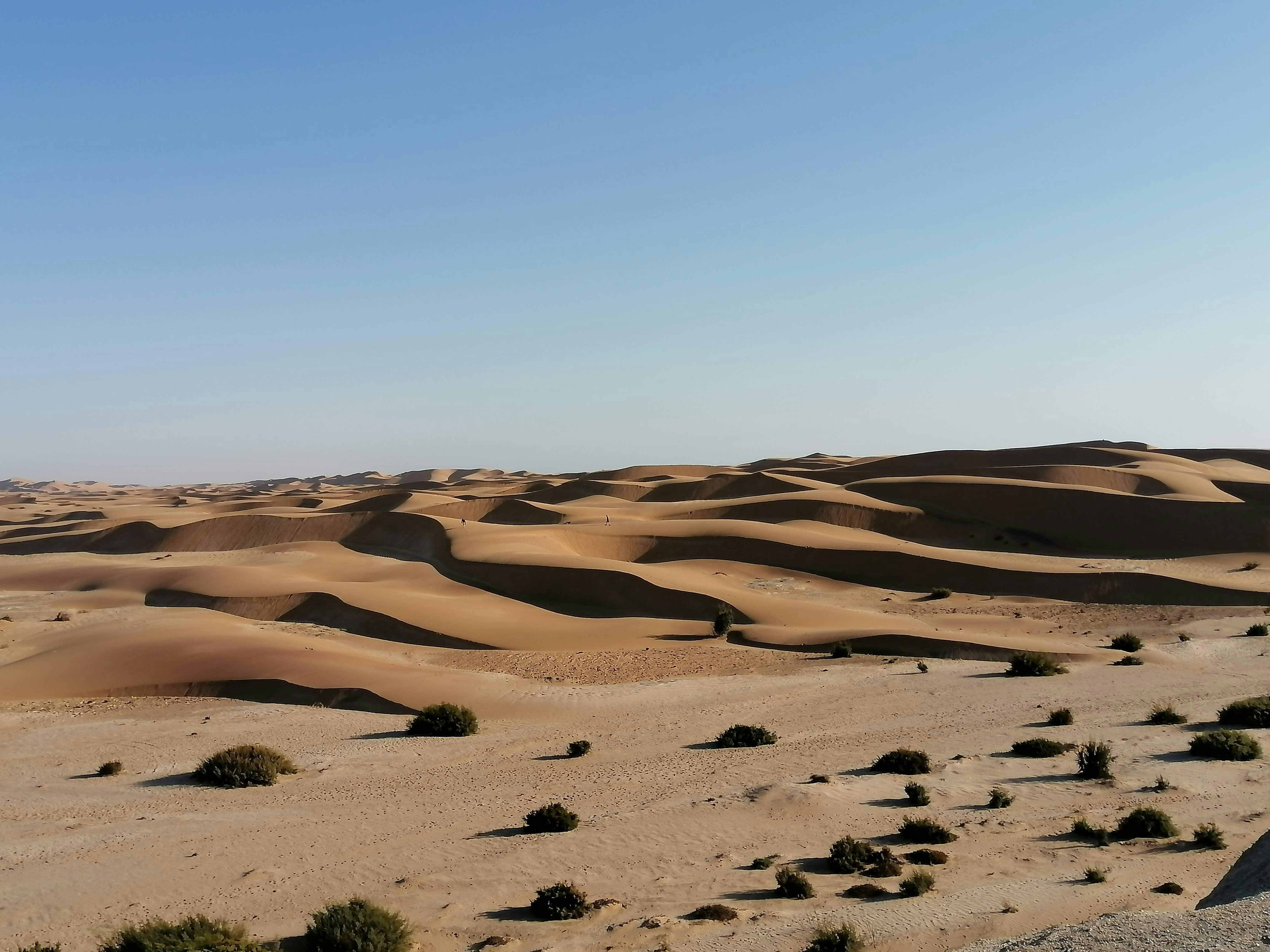 Photo by callieopperman