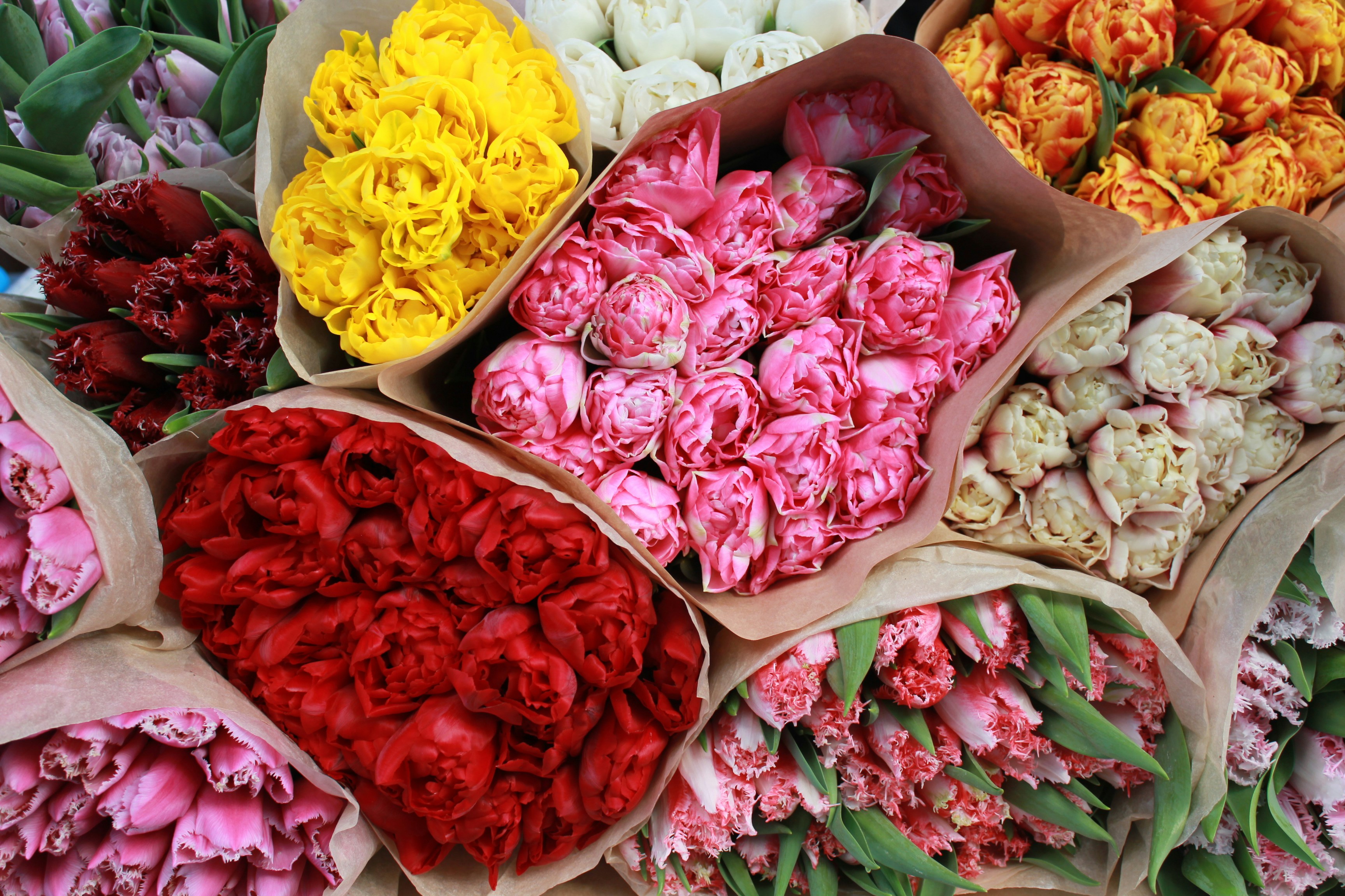 a bunch of flowers that are sitting on a table