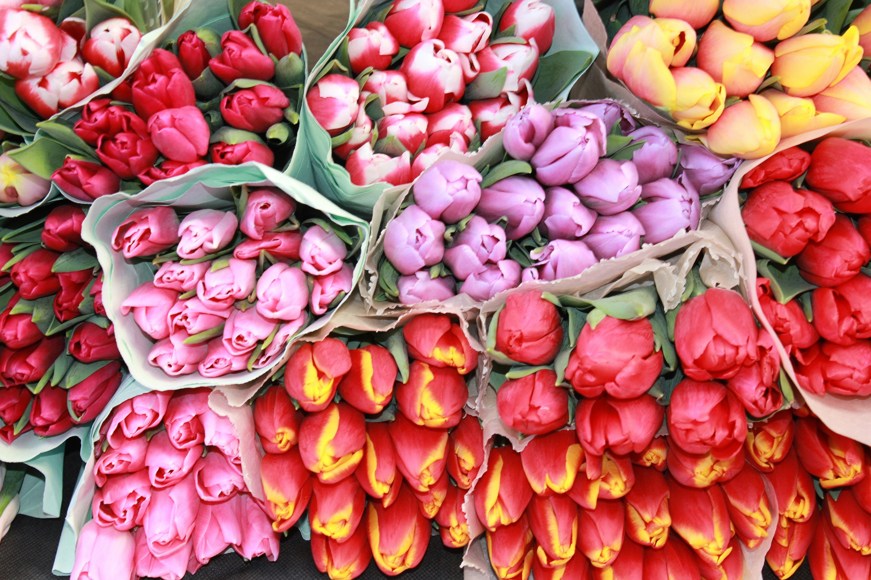 Photo by dareartworks