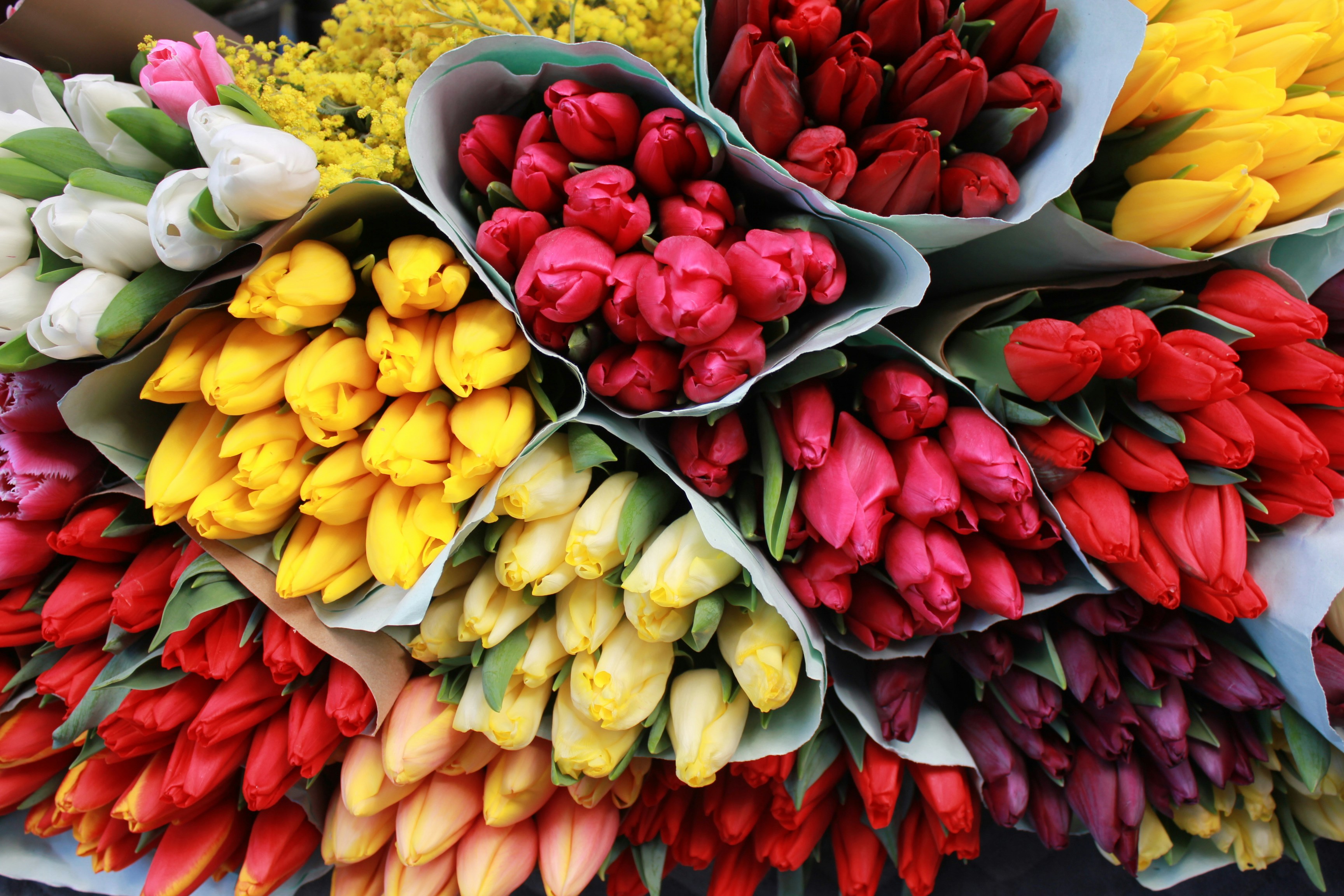a bunch of flowers that are sitting on a table