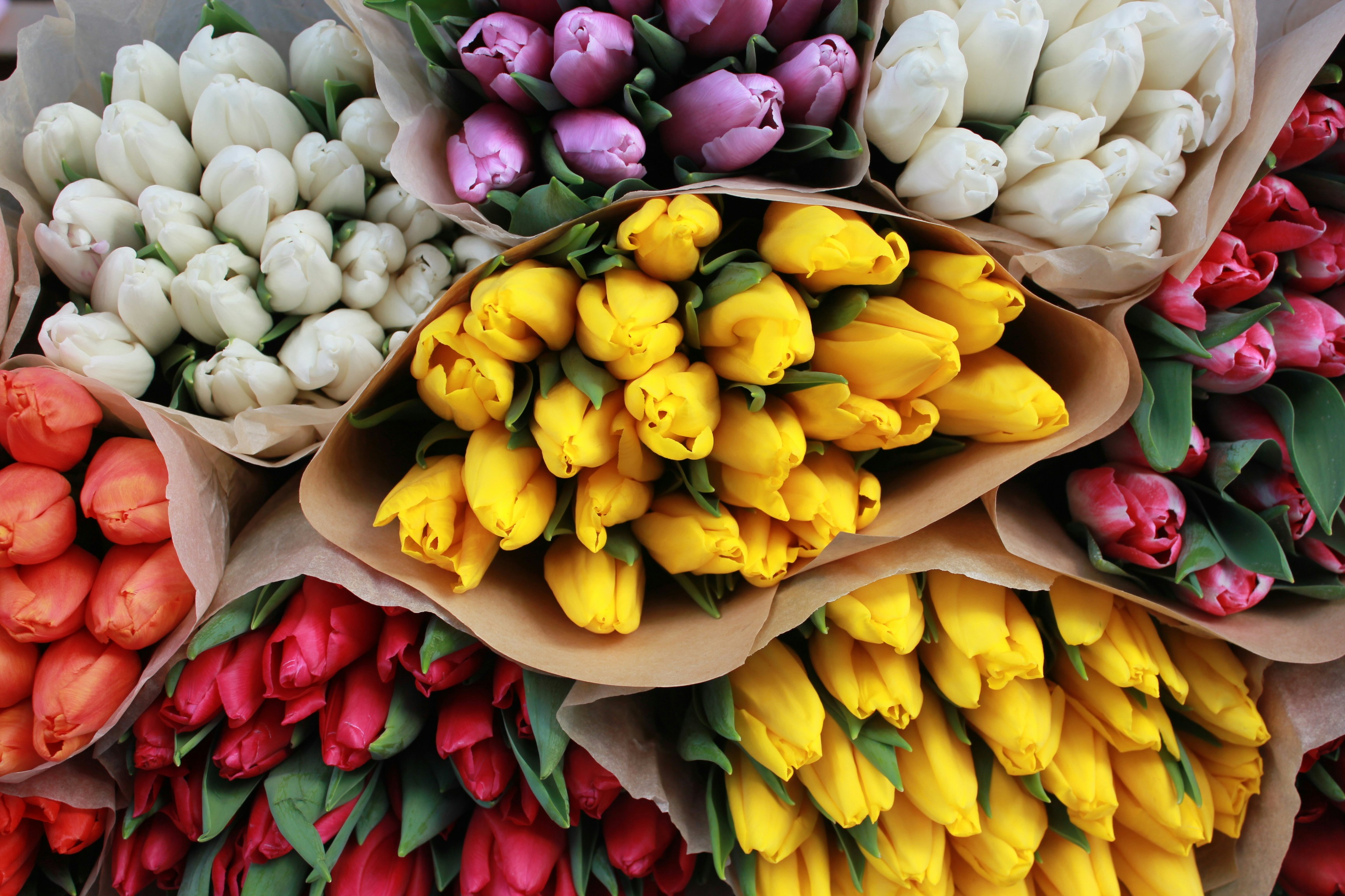 Photo by dareartworks