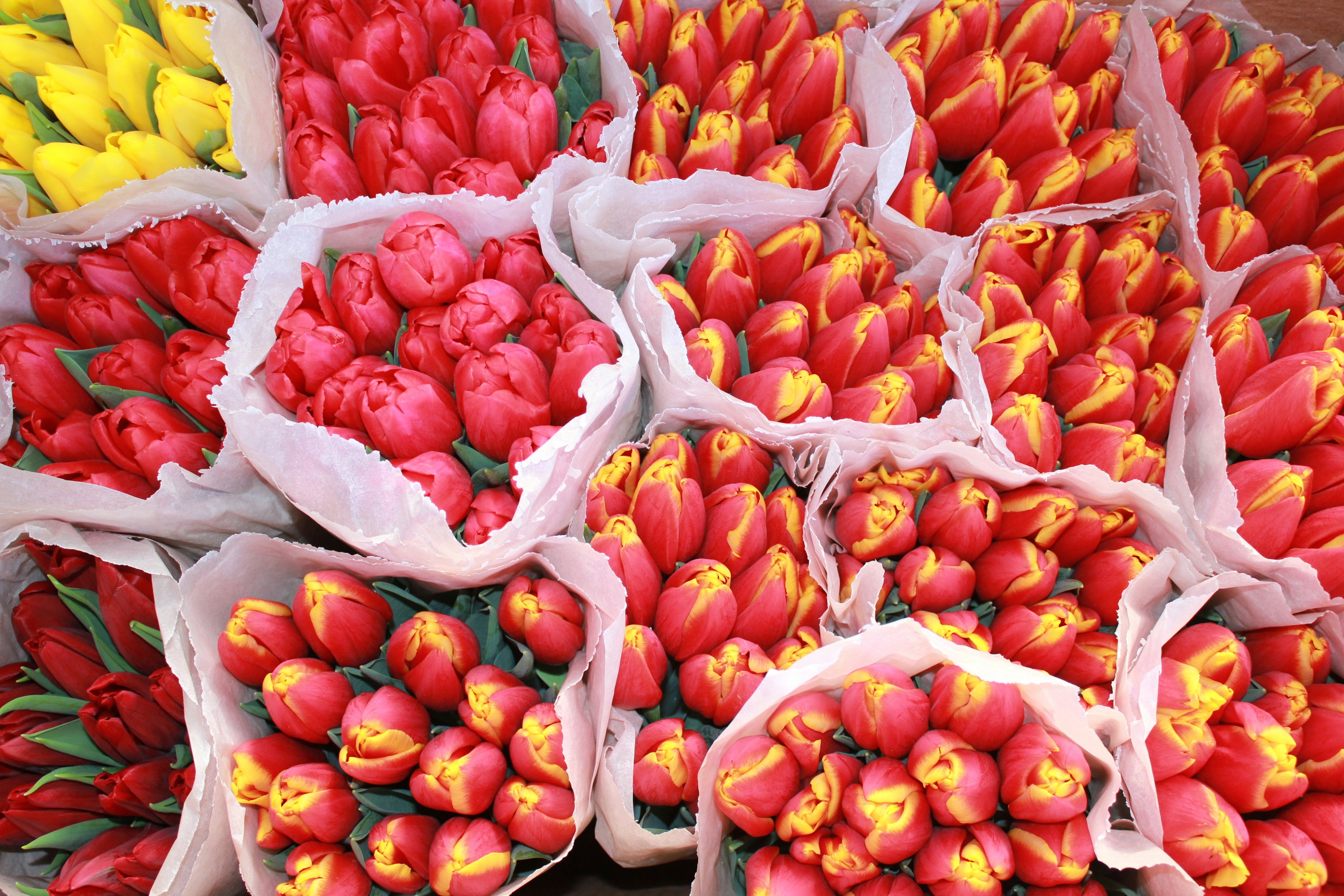 Photo by dareartworks