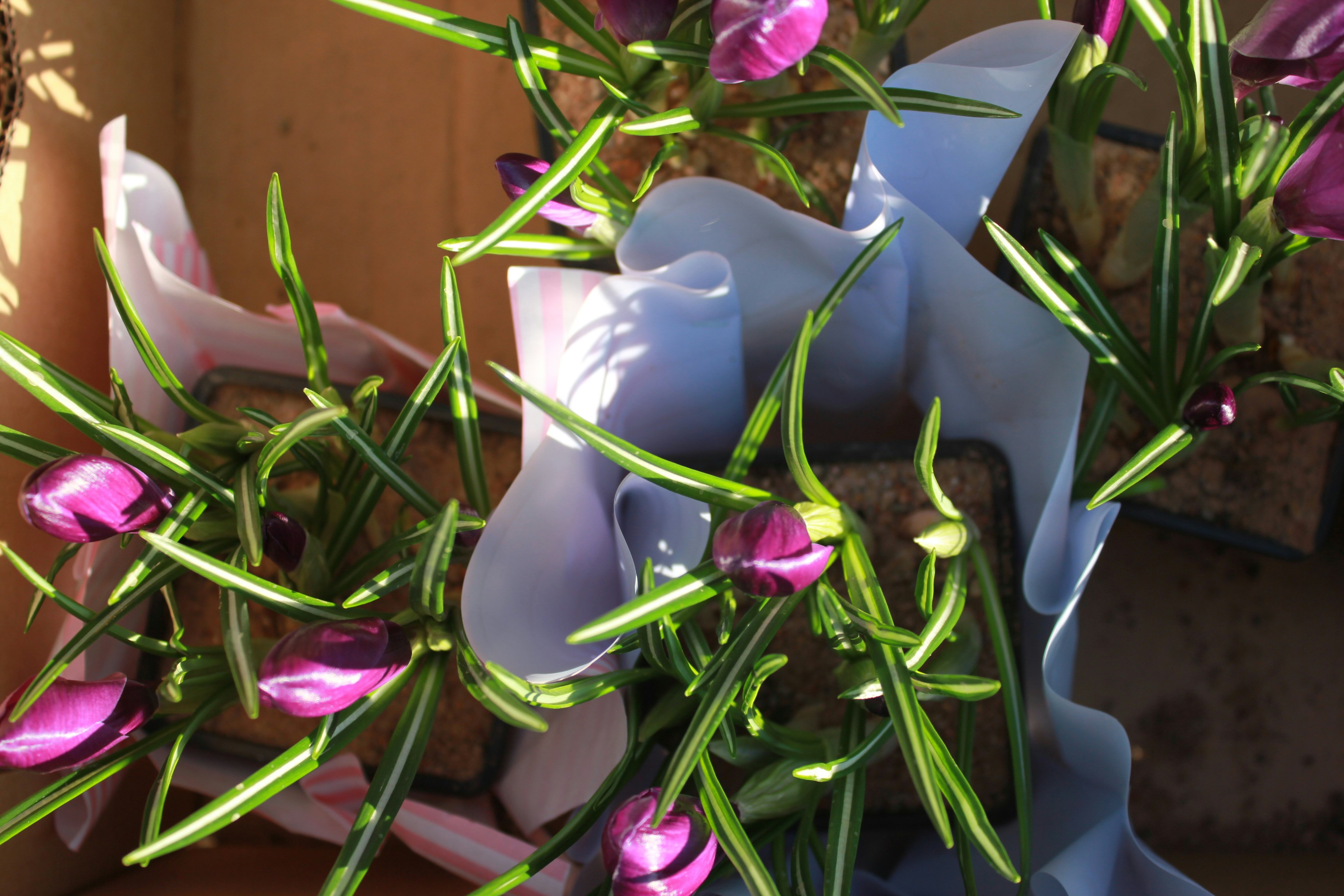 a bouquet of purple flowers sitting on top of a table