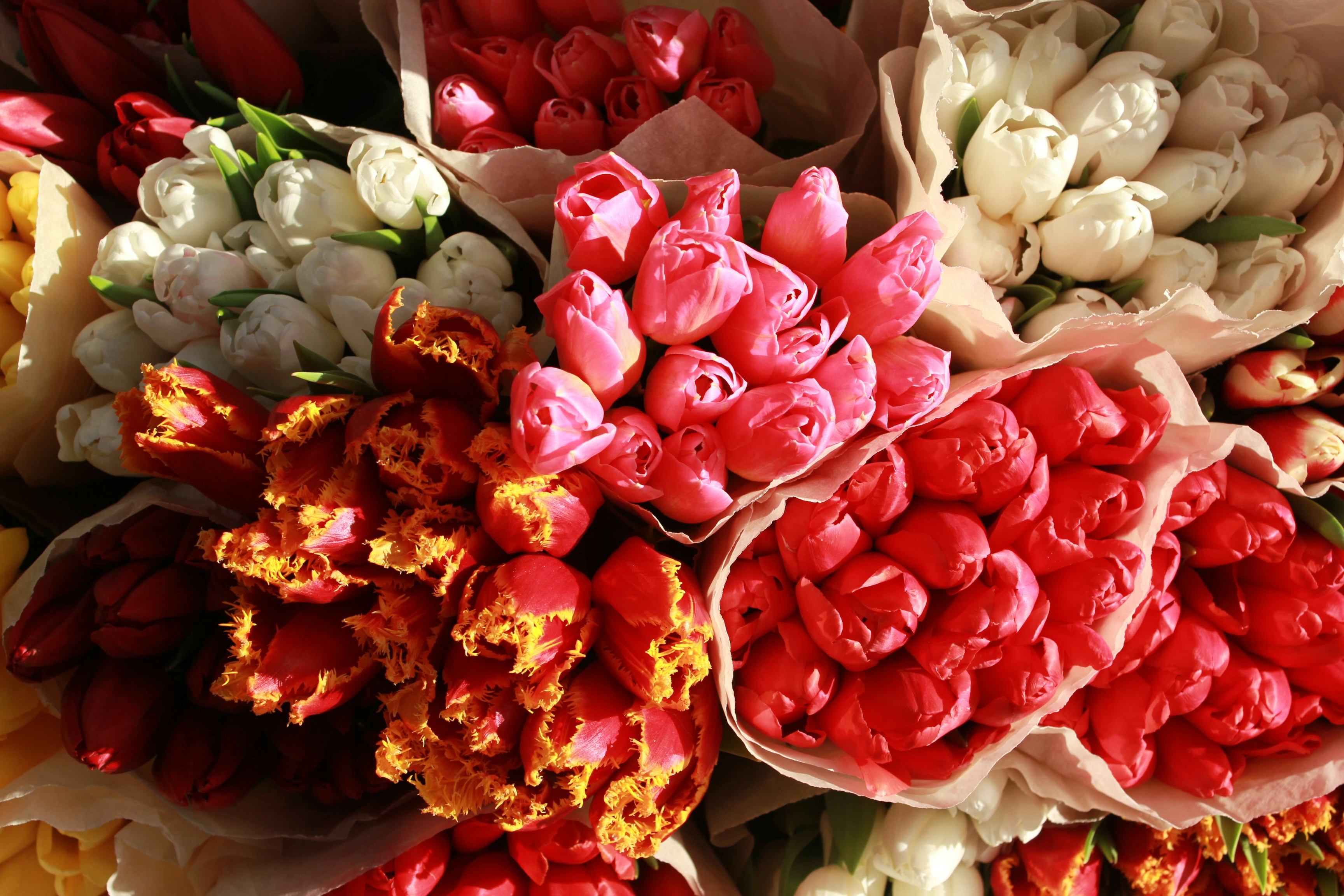 Photo by dareartworks