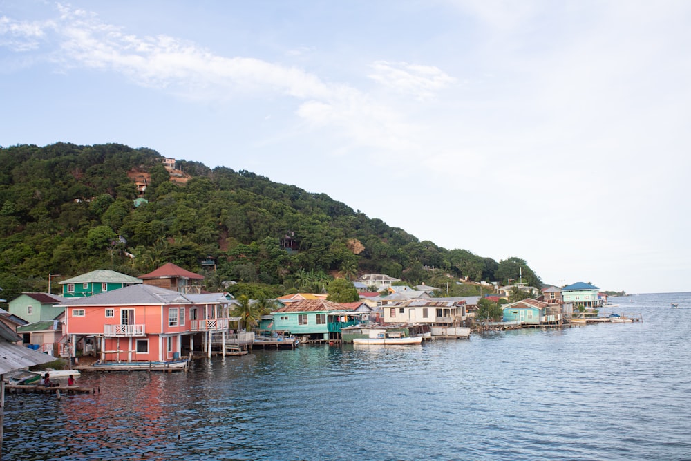 a body of water with a bunch of houses on it