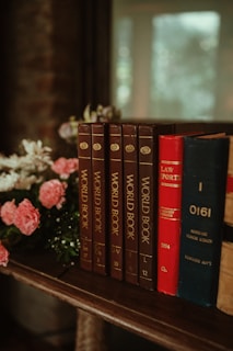 a row of books sitting on top of a wooden shelf