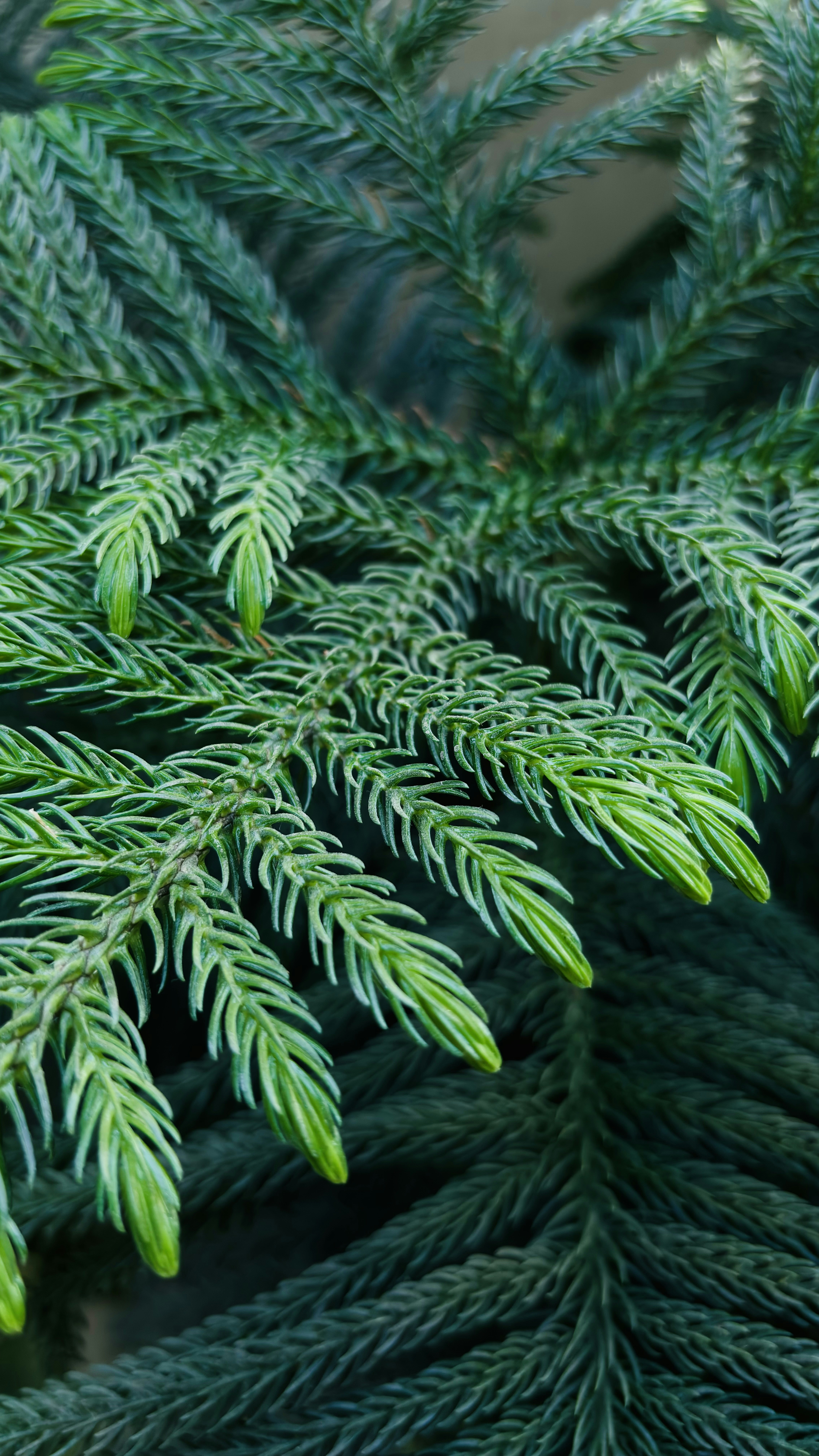 Photo by _mischievous