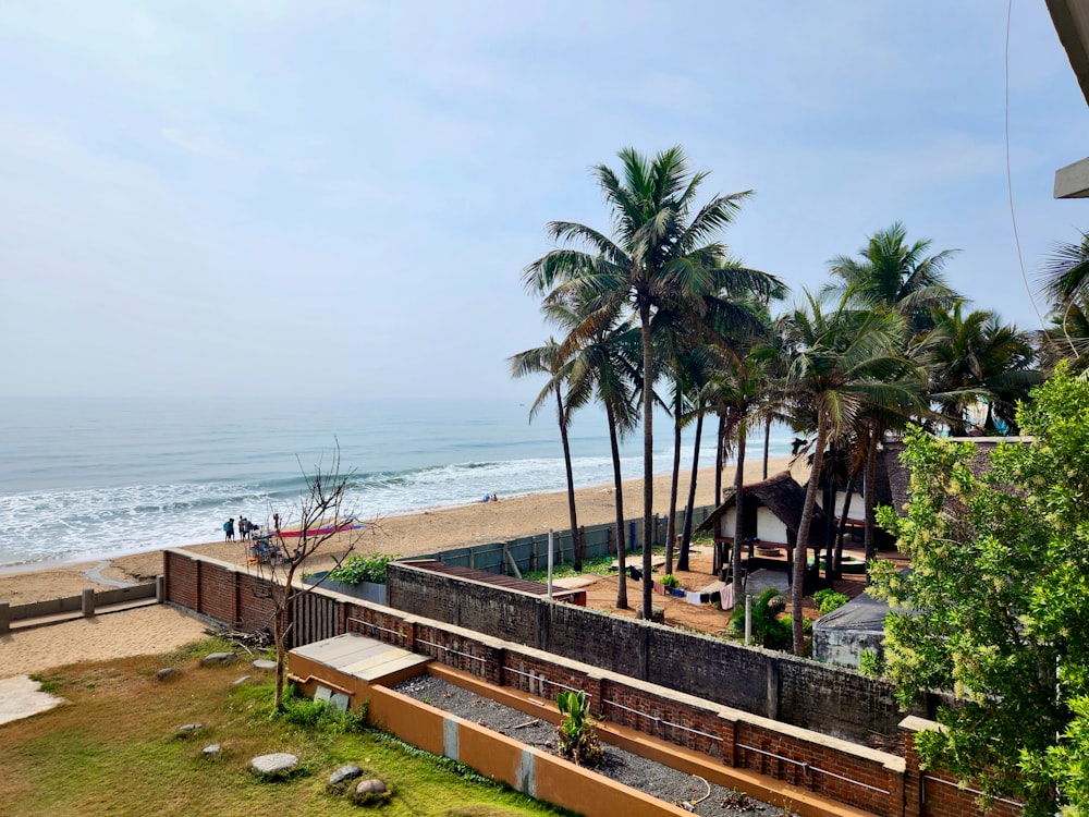 a view of a beach with palm trees in the foreground