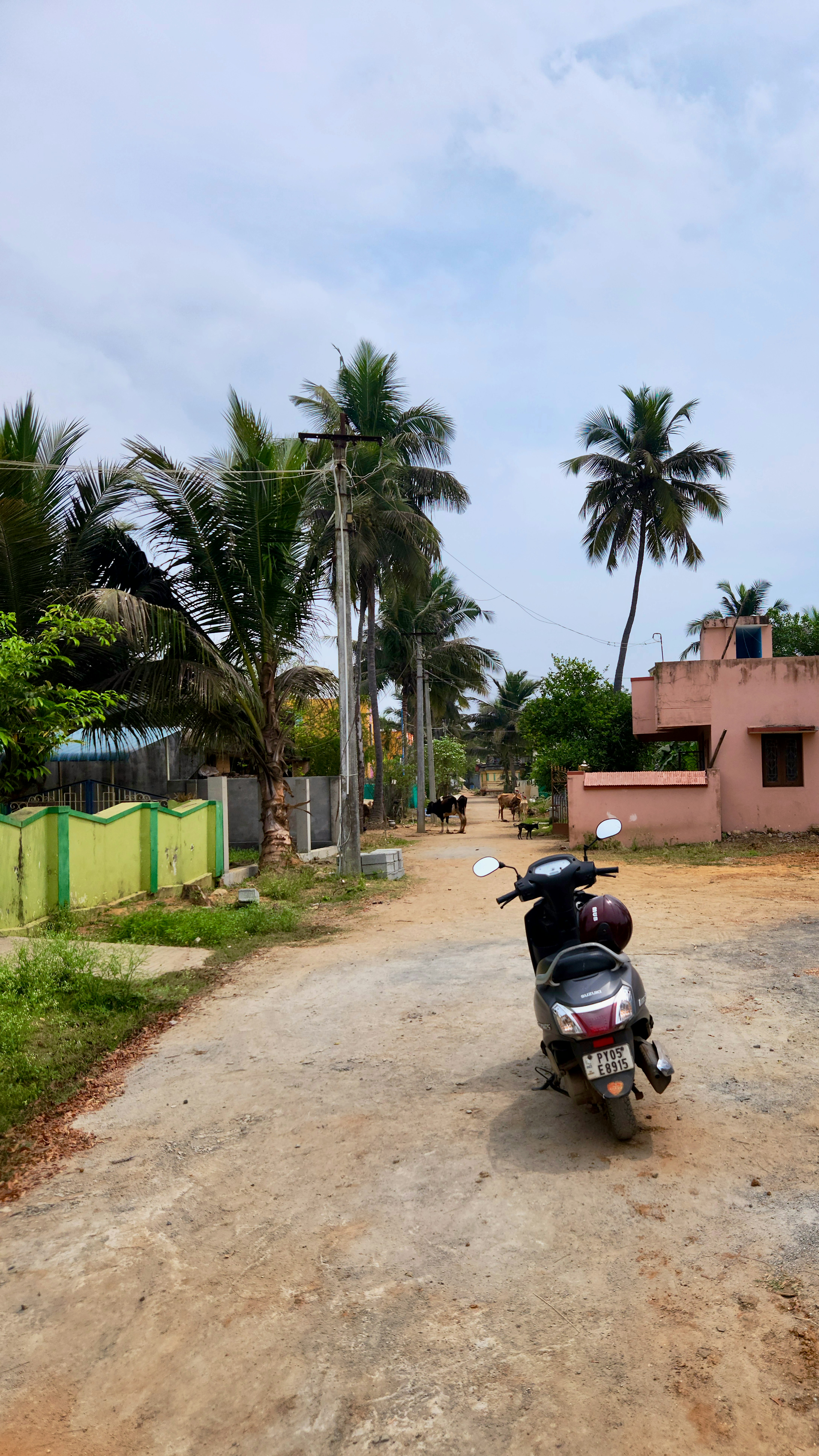 Photo by zoshuacolah