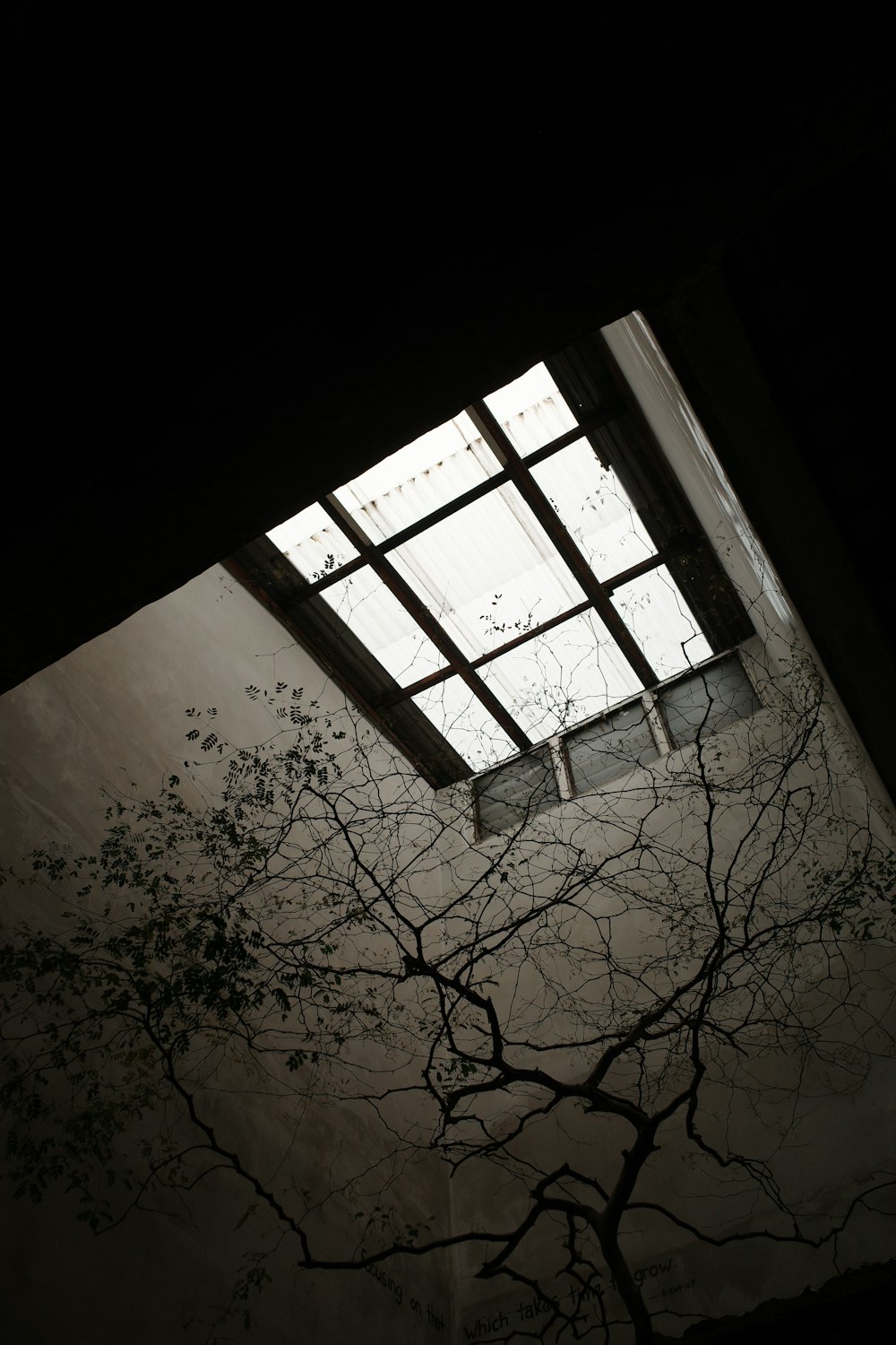 a picture of a tree outside of a window