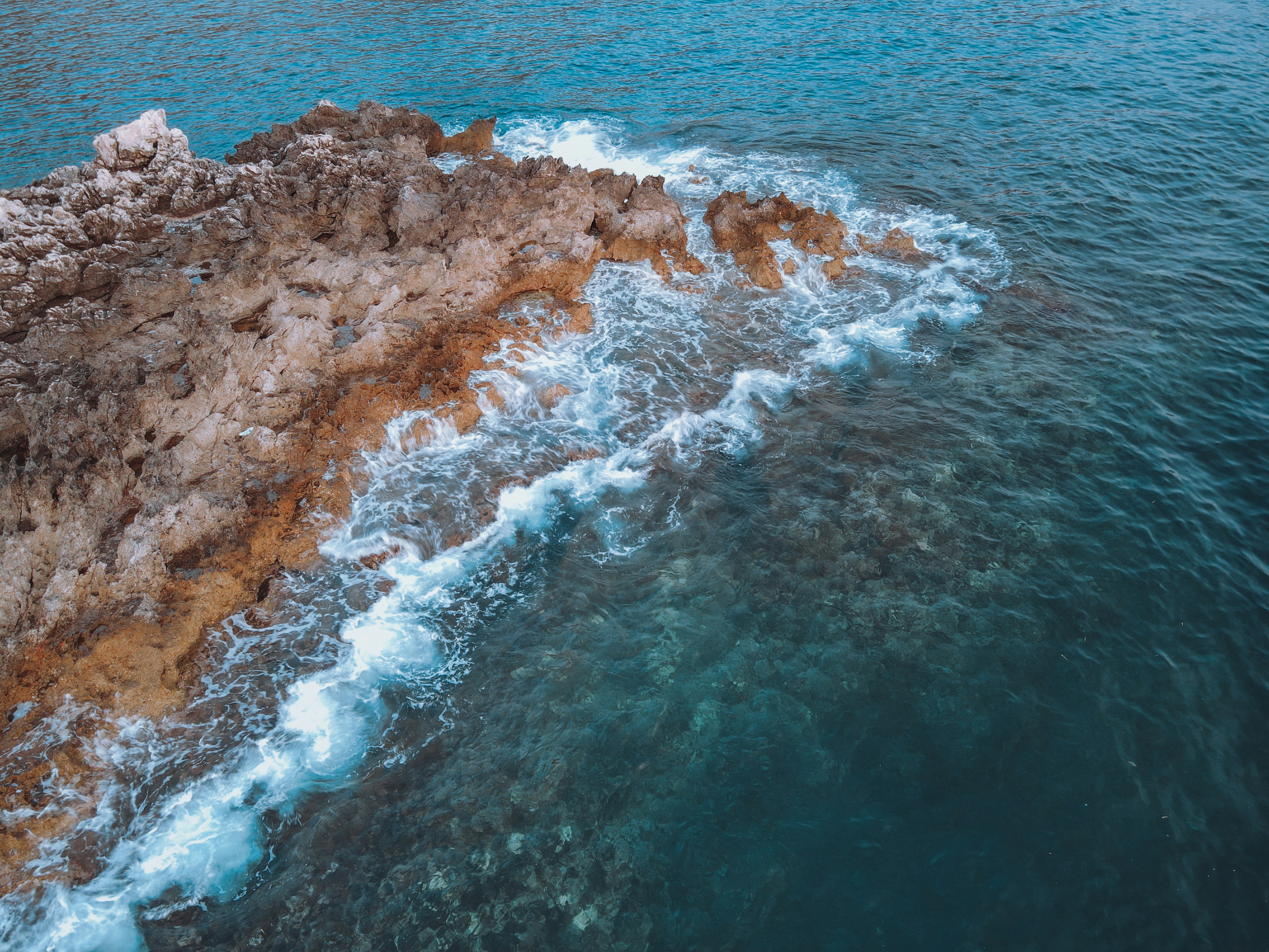 Photo by francesco_ungaro