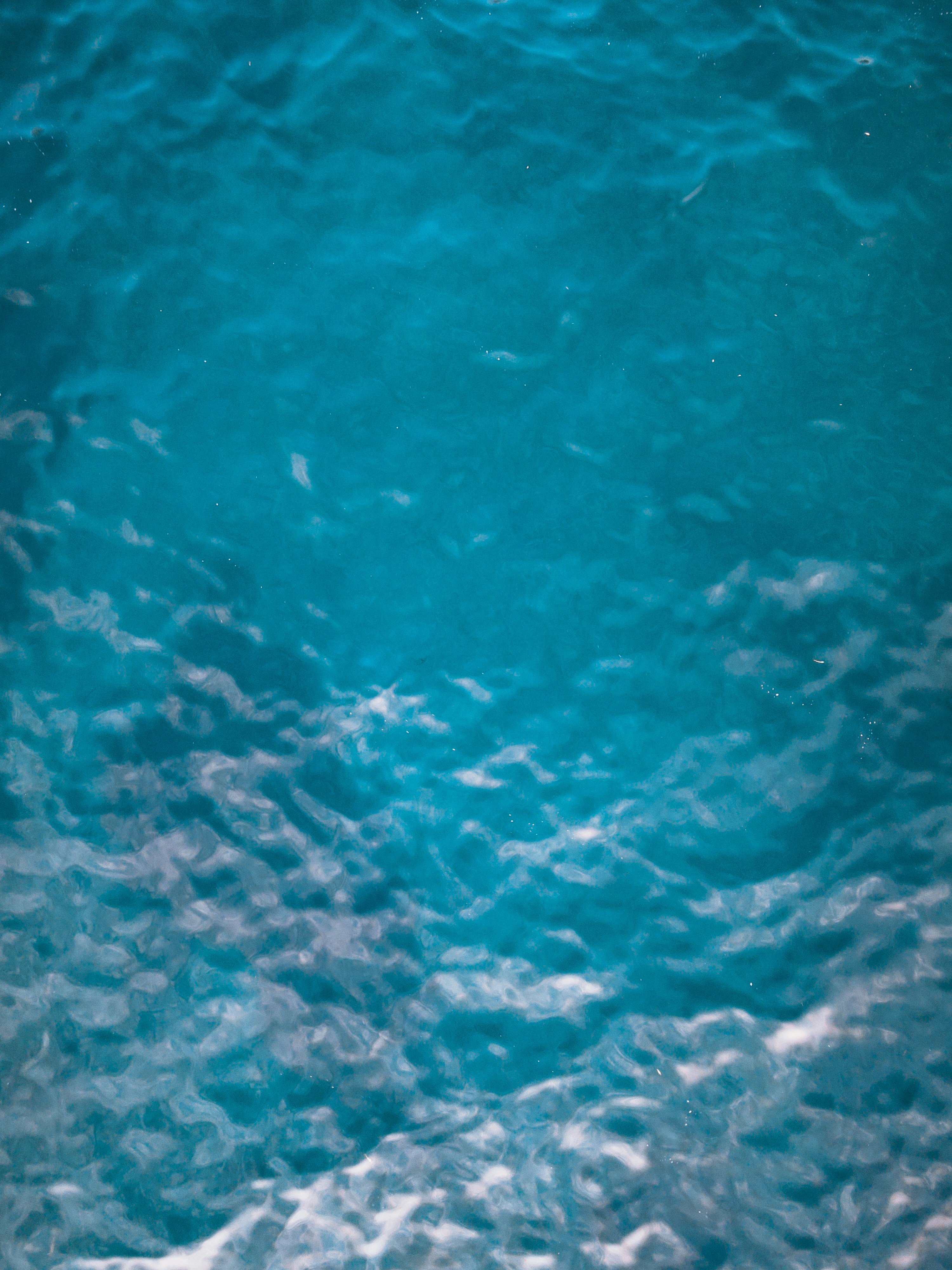 Photo by francesco_ungaro